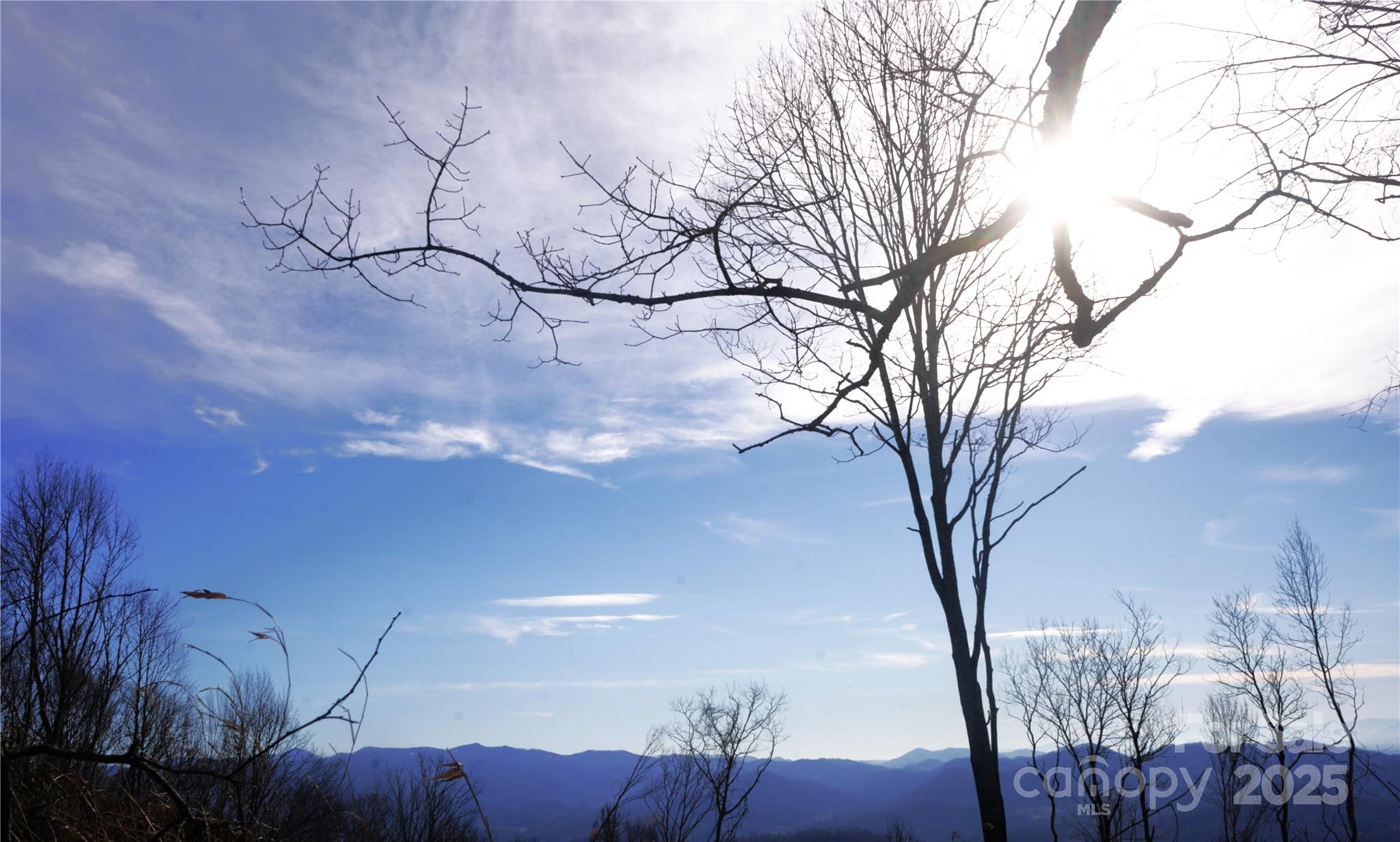 Winter sun, long range views, mtn top meadow - SR-1386 W Sang Branch, Hog Branch Road W, Burnsville