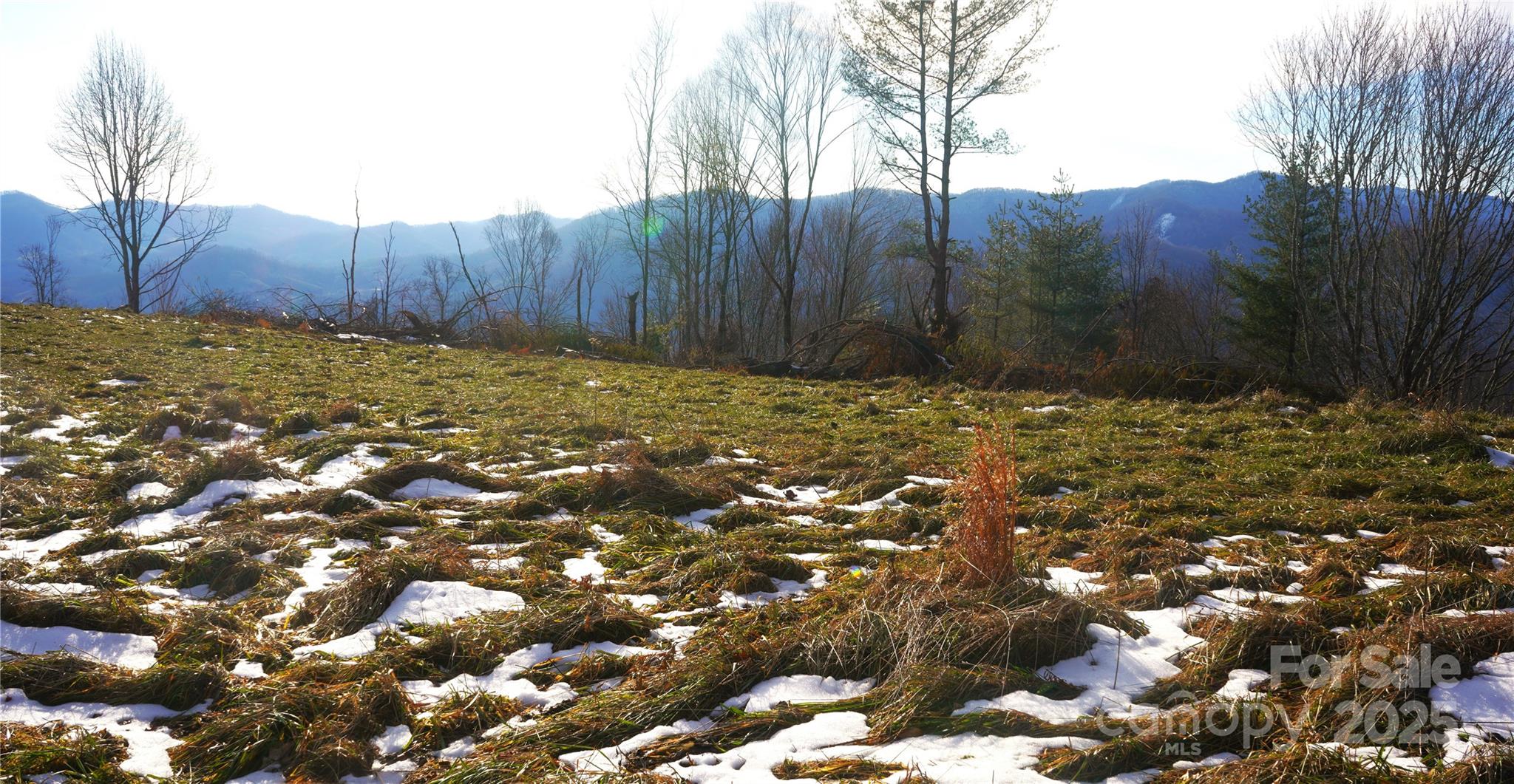 Flat east meadow near top, view to SW - SR-1386 W Sang Branch, Hog Branch Road W, Burnsville