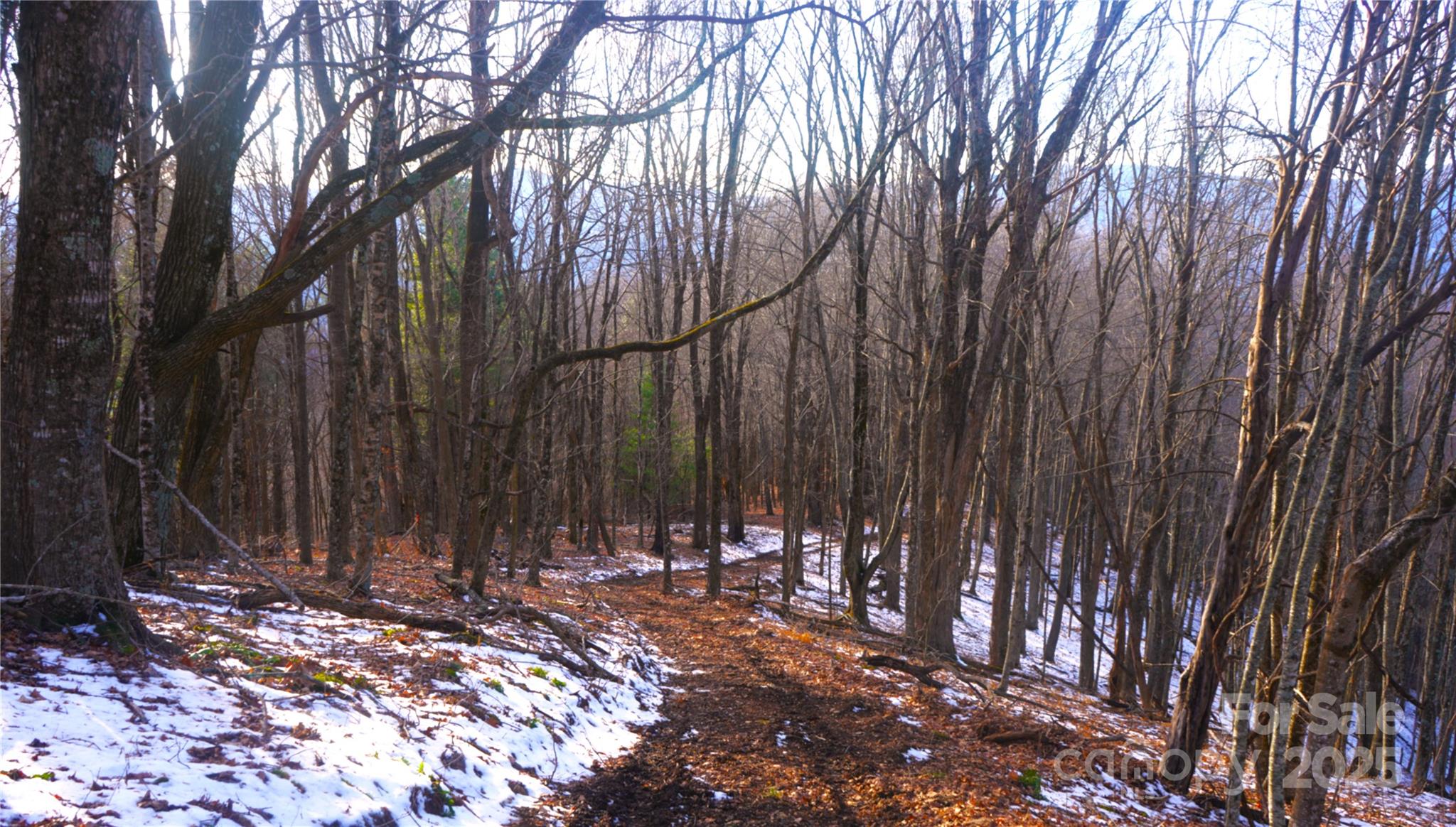 4WD road along ridge top in middle of property - SR-1386 W Sang Branch, Hog Branch Road W, Burnsville
