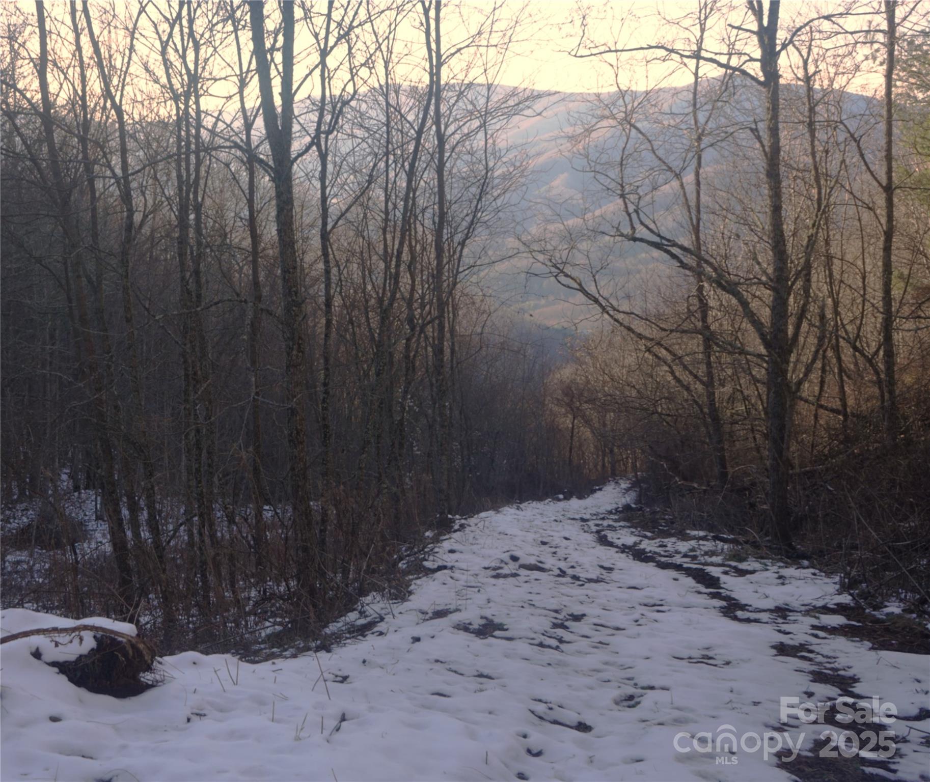 Interior 4WD road, 2mi> entry gate to top - SR-1386 W Sang Branch, Hog Branch Road W, Burnsville