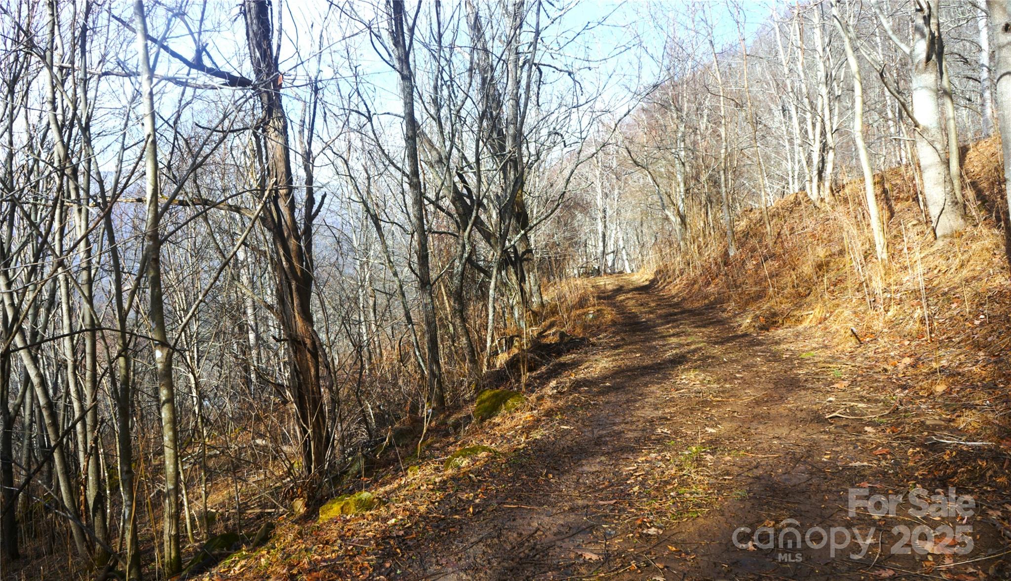 4WD drive forest rd thru property - SR-1386 W Sang Branch, Hog Branch Road W, Burnsville