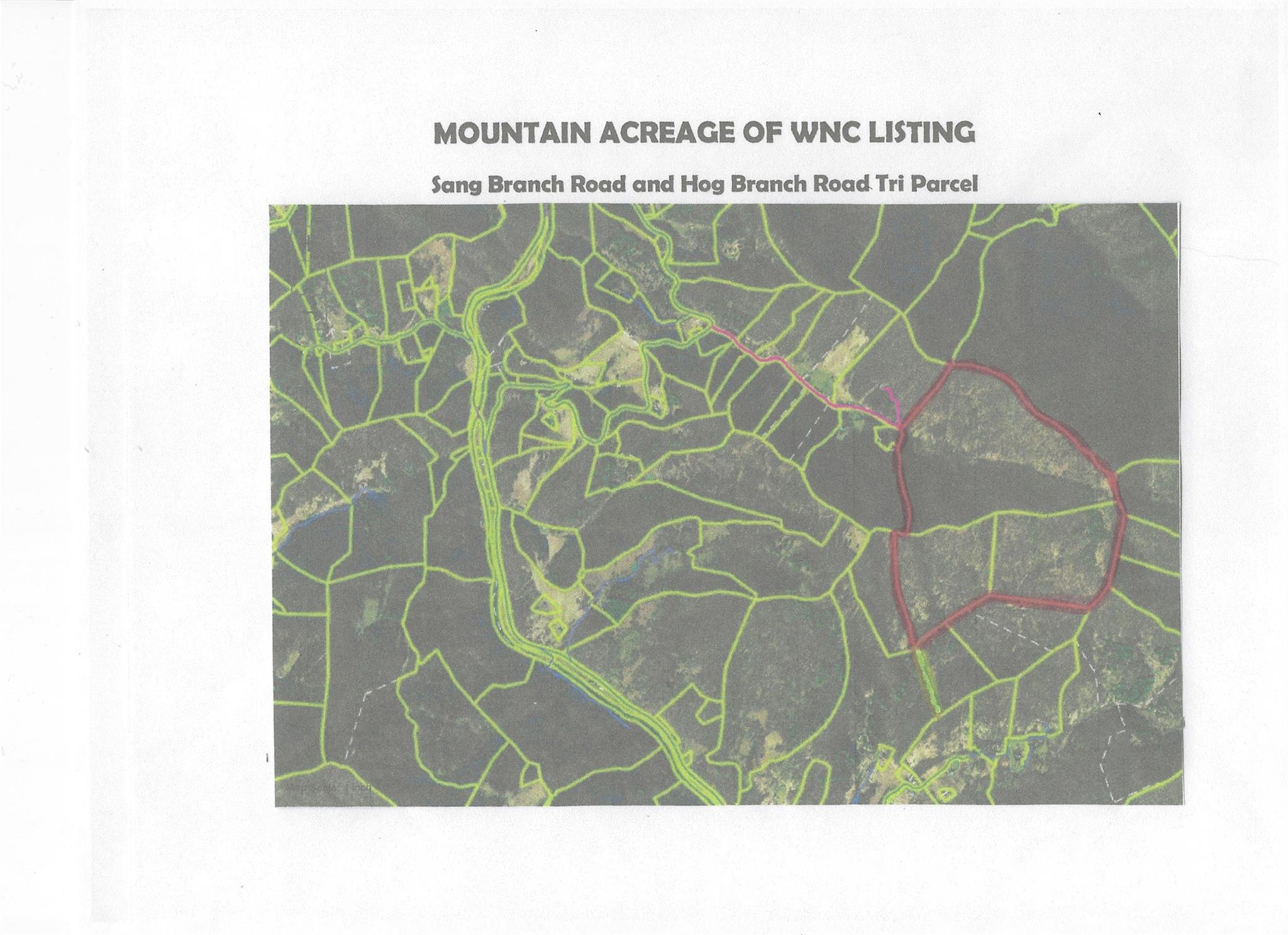 Tri Parcel with surrounding roads and parcels. - SR-1386 W Sang Branch, Hog Branch Road W, Burnsville