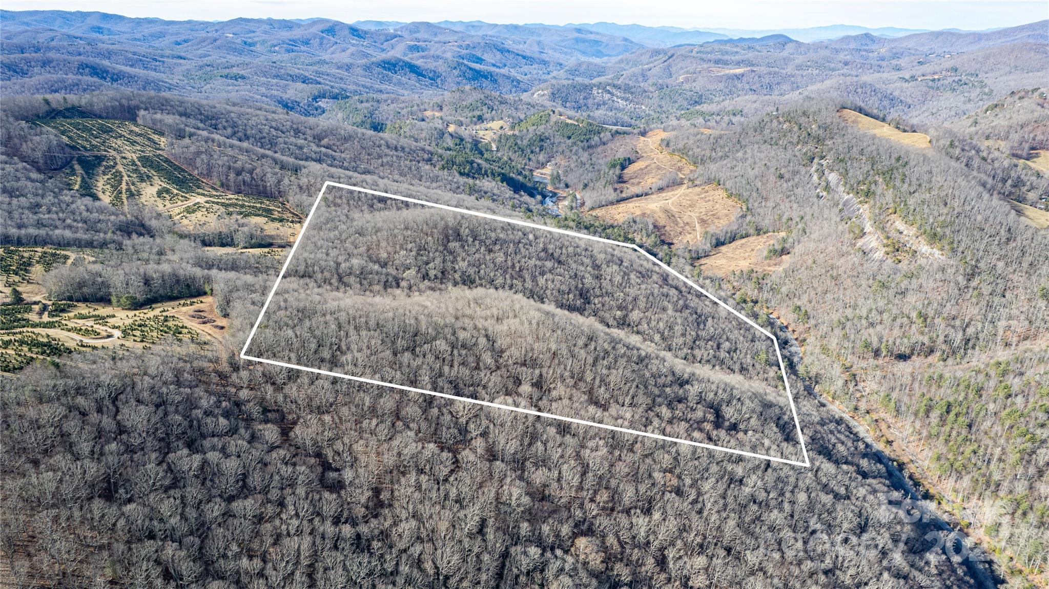 Acreage at TBD Tannassee Creek Road, Tuckasegee, photo 13 of 64