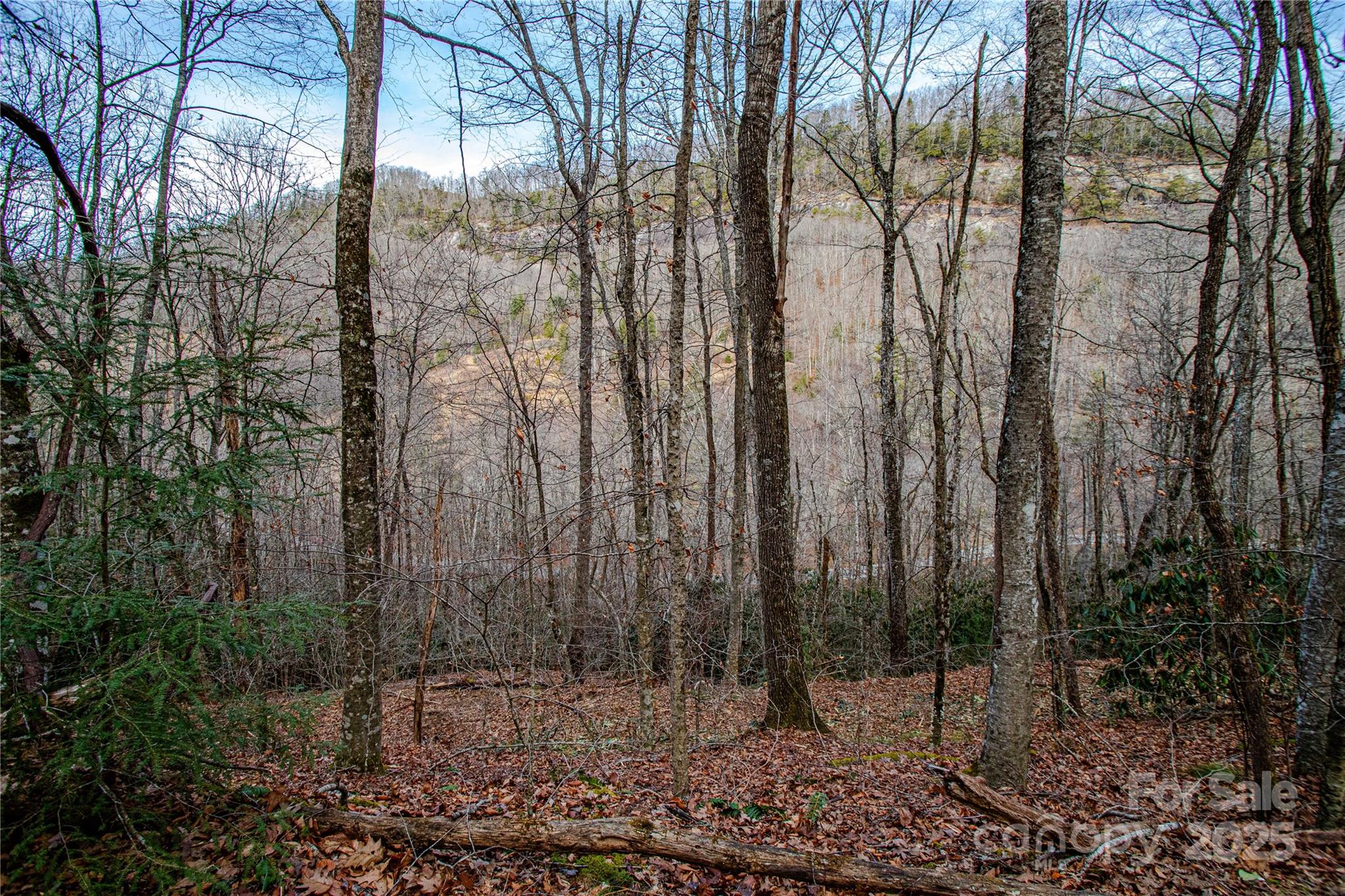 Acreage at TBD Tannassee Creek Road, Tuckasegee, photo 17 of 64