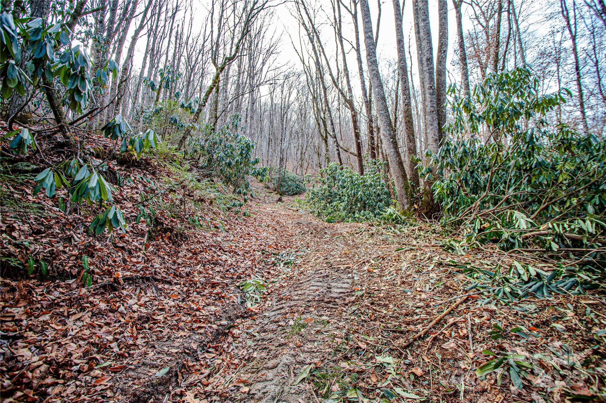 Acreage at TBD Tannassee Creek Road, Tuckasegee, photo 23 of 64