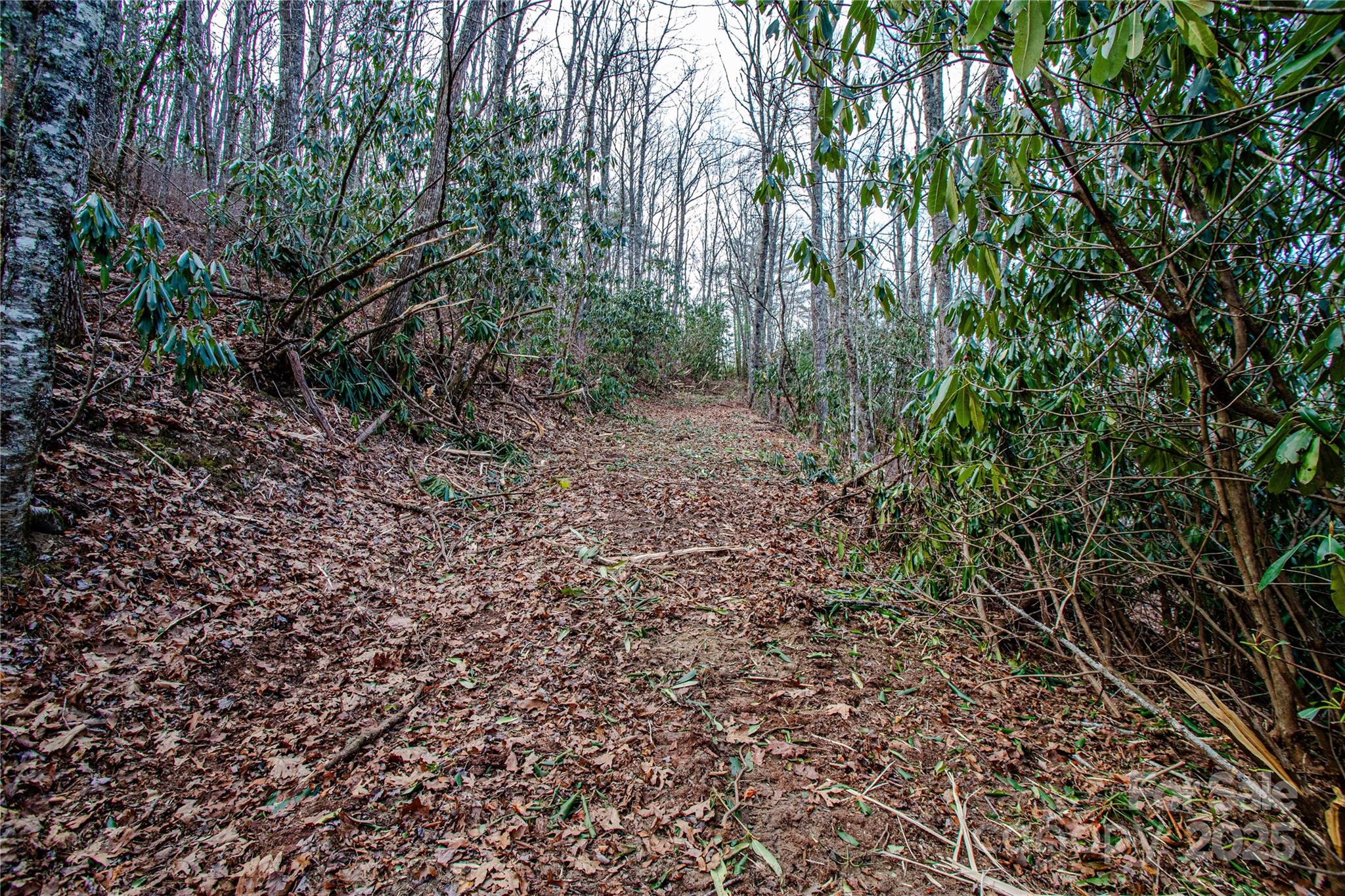 Acreage at TBD Tannassee Creek Road, Tuckasegee, photo 31 of 64