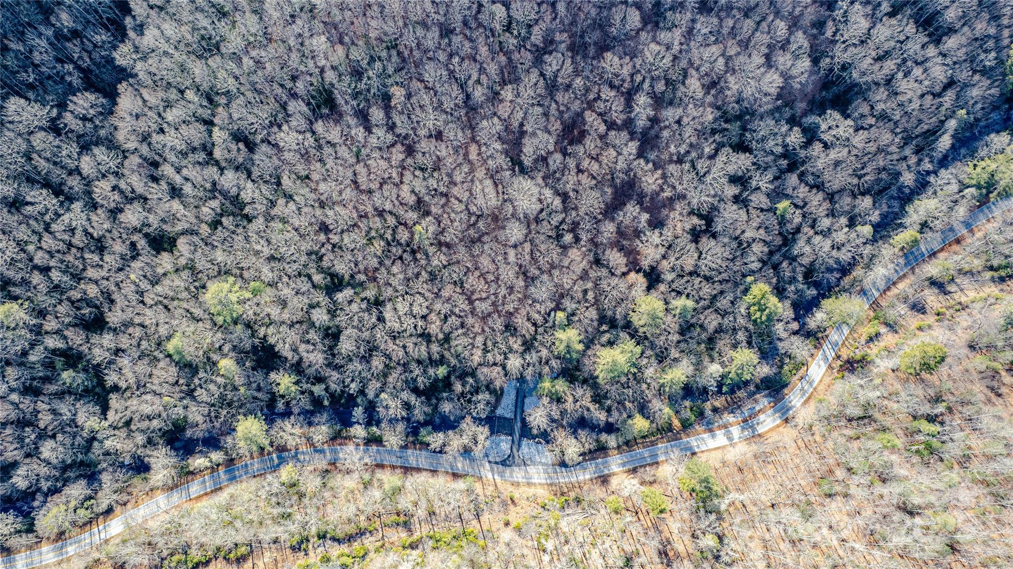 Acreage at TBD Tannassee Creek Road, Tuckasegee, photo 33 of 64