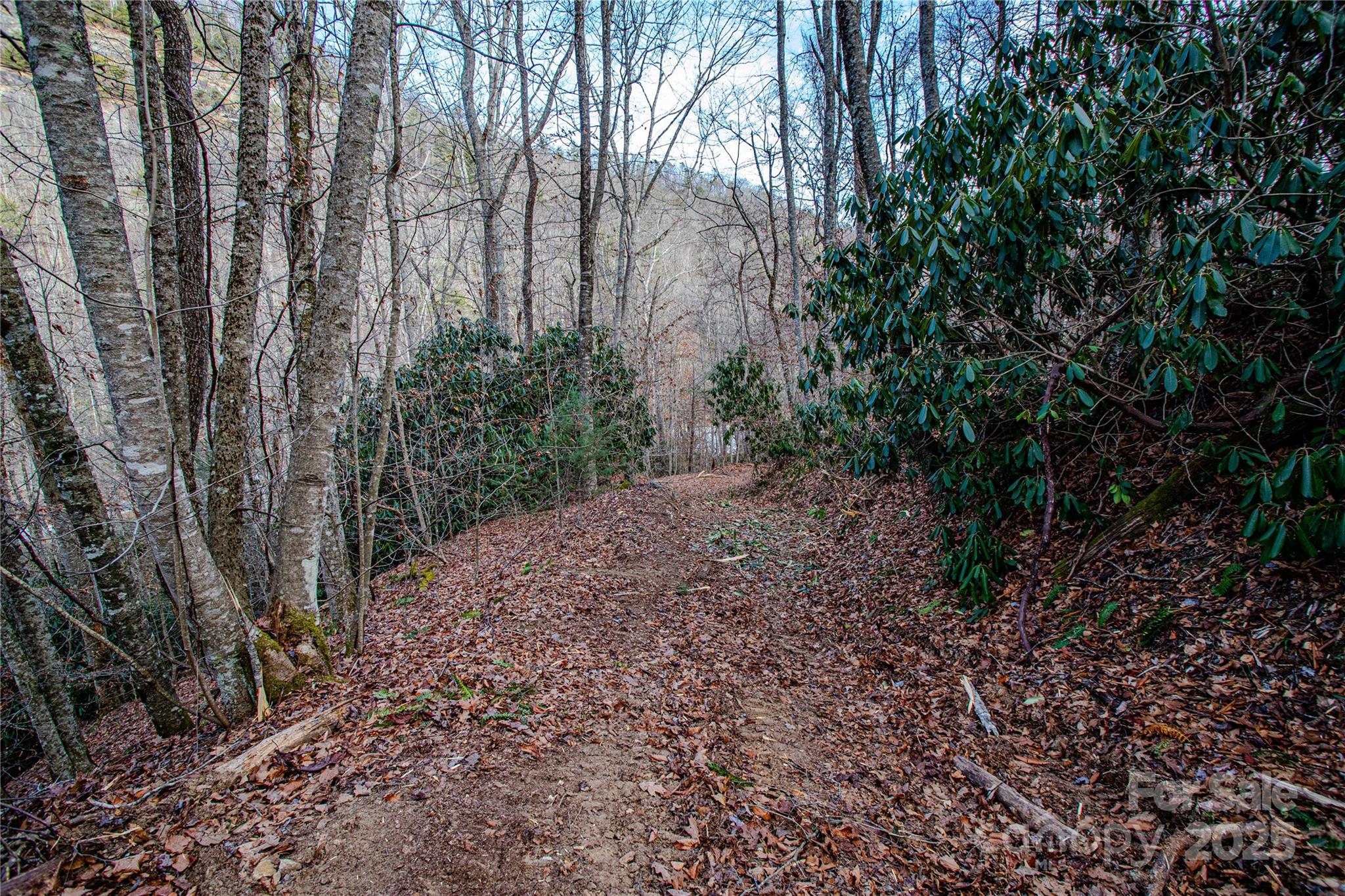 Acreage at TBD Tannassee Creek Road, Tuckasegee, photo 53 of 64