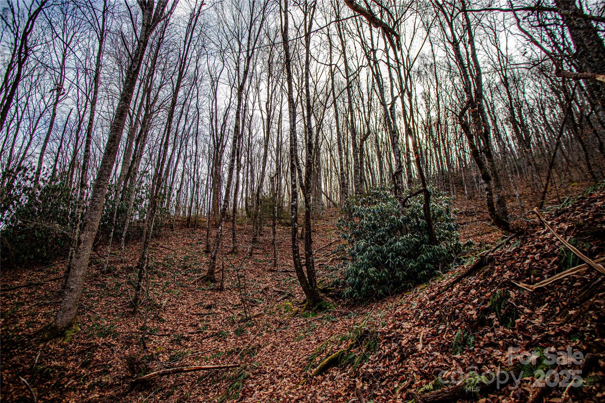 Acreage at TBD Tannassee Creek Road, Tuckasegee, photo 39 of 64