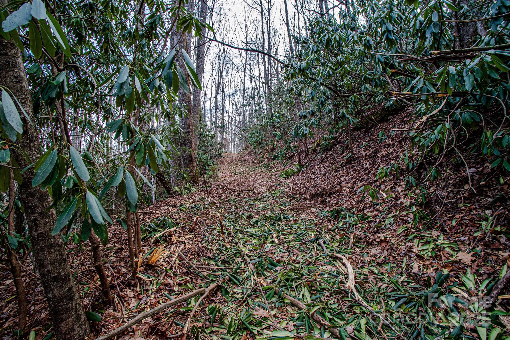 Acreage at TBD Tannassee Creek Road, Tuckasegee, photo 45 of 64