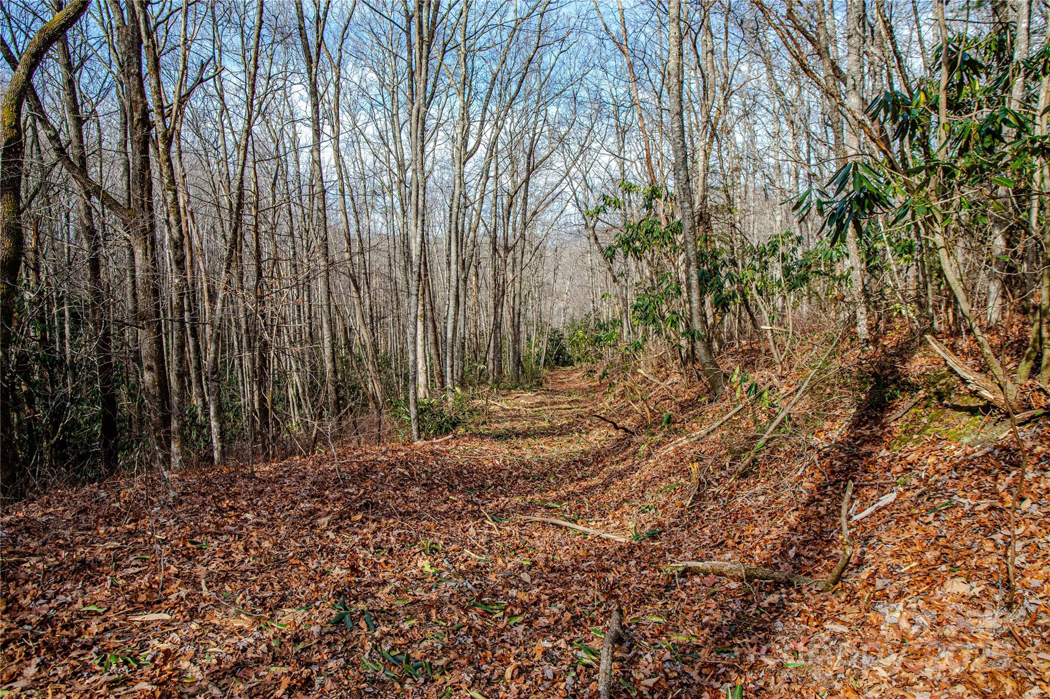 Acreage at TBD Tannassee Creek Road, Tuckasegee, photo 49 of 64