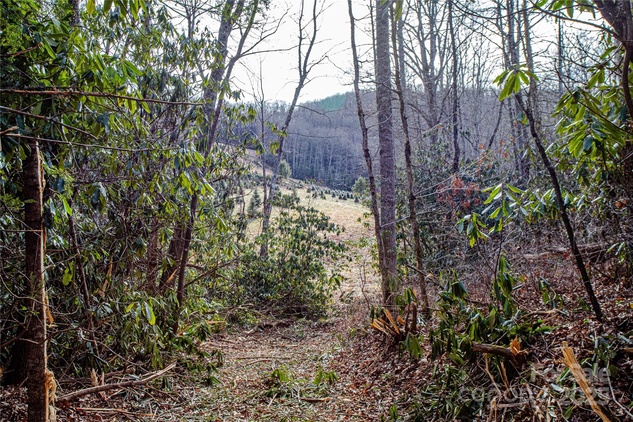 Acreage at TBD Tannassee Creek Road, Tuckasegee, photo 51 of 64