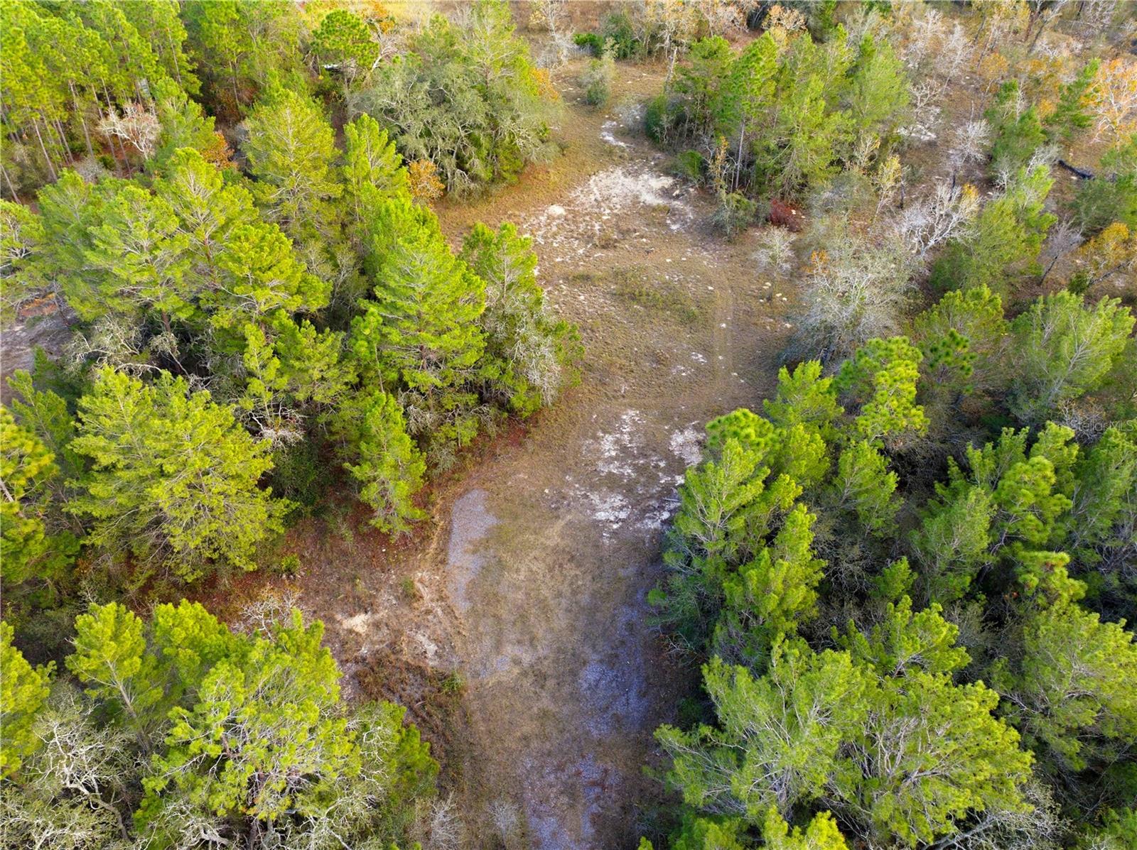 Land at 0 BACKWOODS WAY, BROOKSVILLE, photo 6 of 16