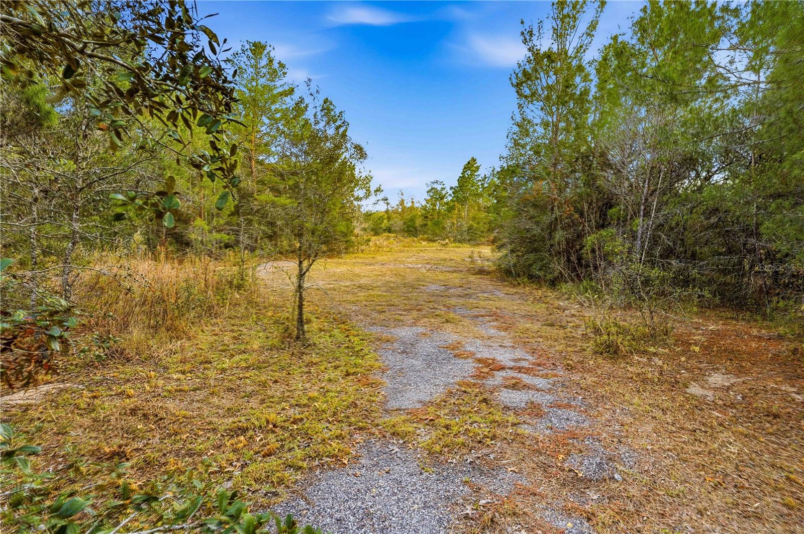 Land at 0 BACKWOODS WAY, BROOKSVILLE, photo 7 of 16