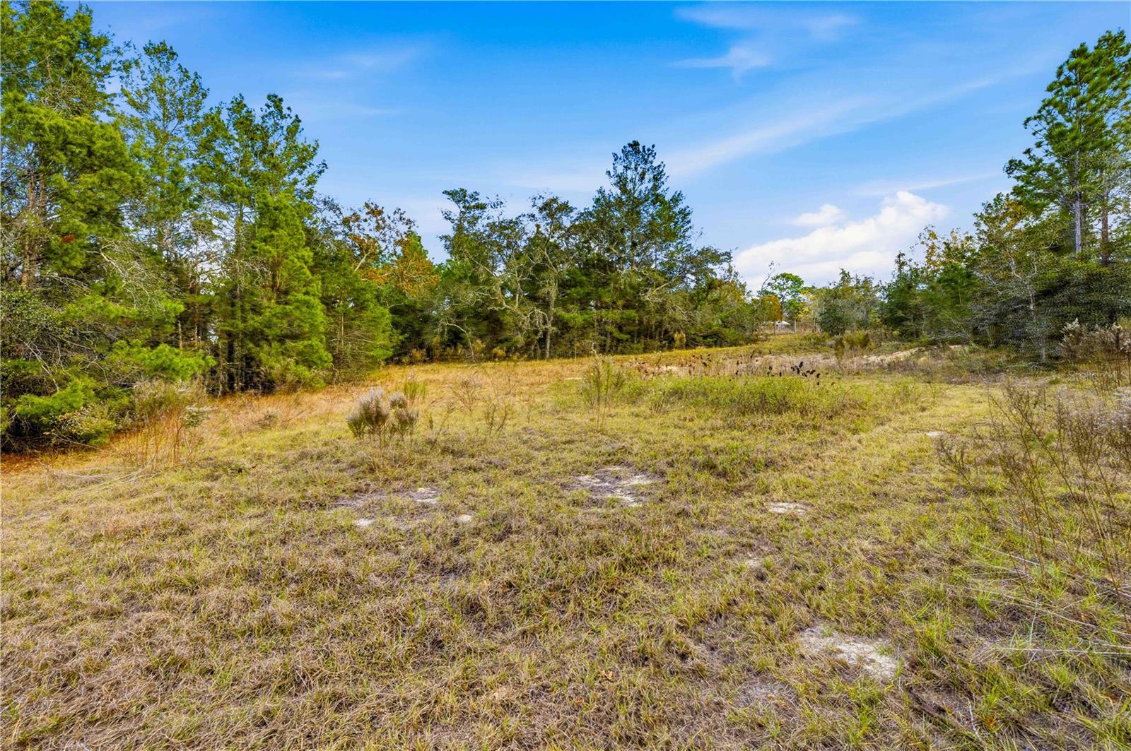 Land at 0 BACKWOODS WAY, BROOKSVILLE, photo 8 of 16