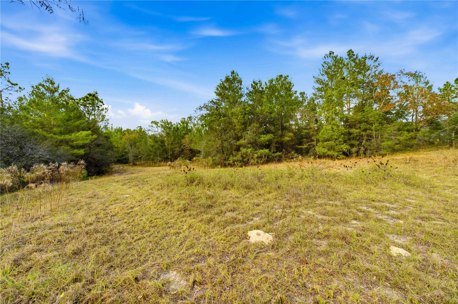 Land at 0 BACKWOODS WAY, BROOKSVILLE, photo 9 of 16