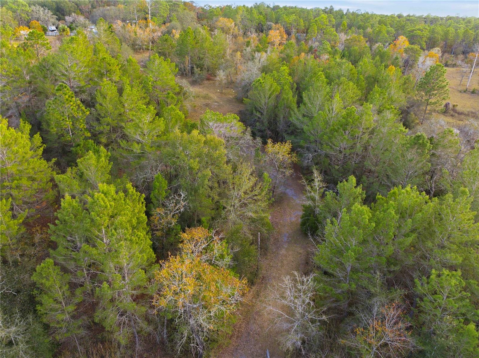 Land at 0 BACKWOODS WAY, BROOKSVILLE, photo 13 of 16