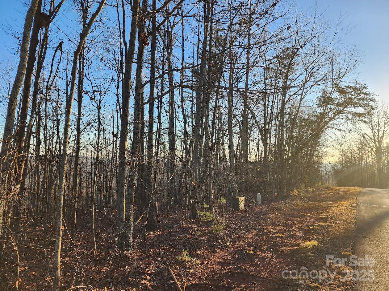 Lot at 69 Adirondack Lane, Bostic, photo 12 of 16