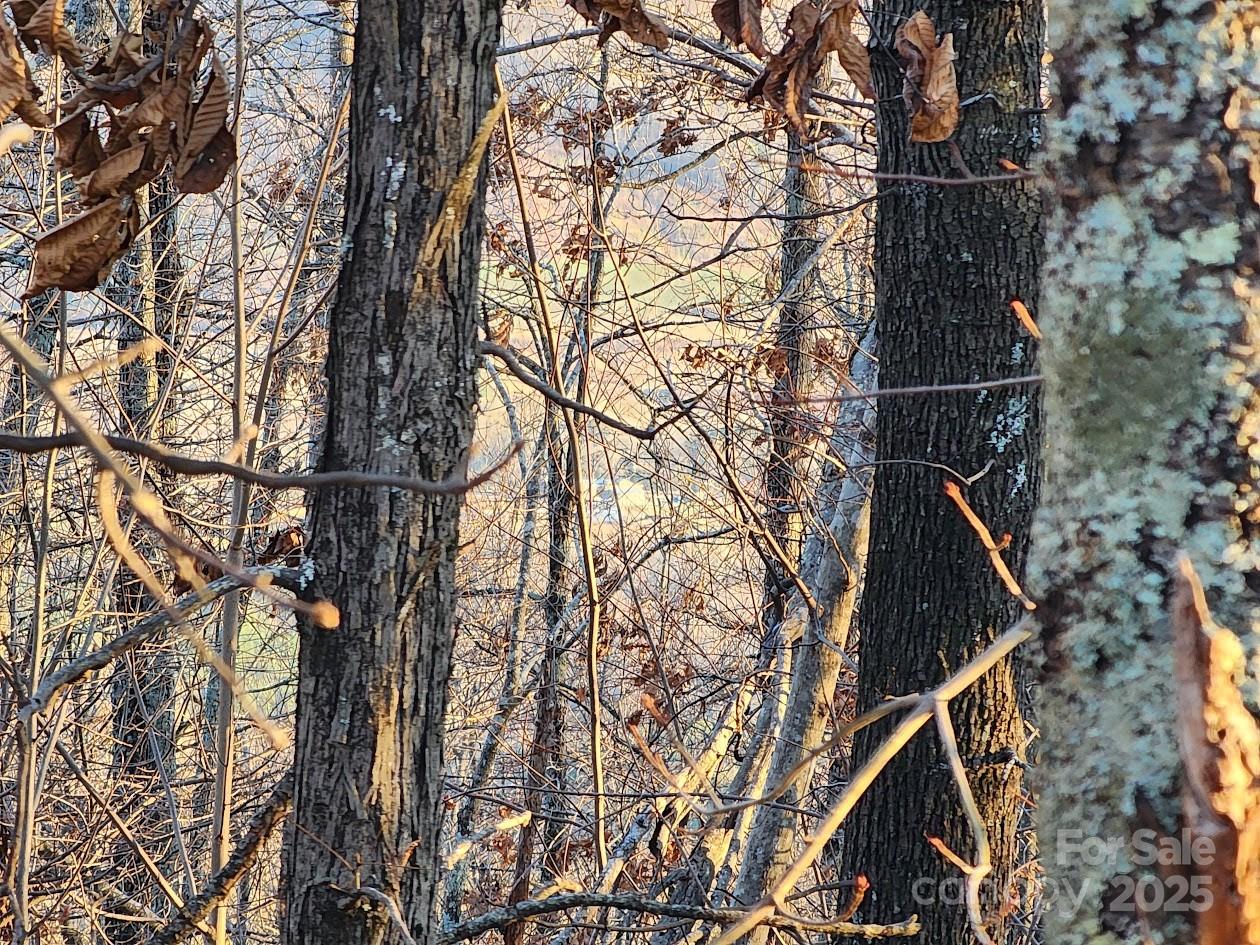 Lot at 69 Adirondack Lane, Bostic, photo 14 of 16