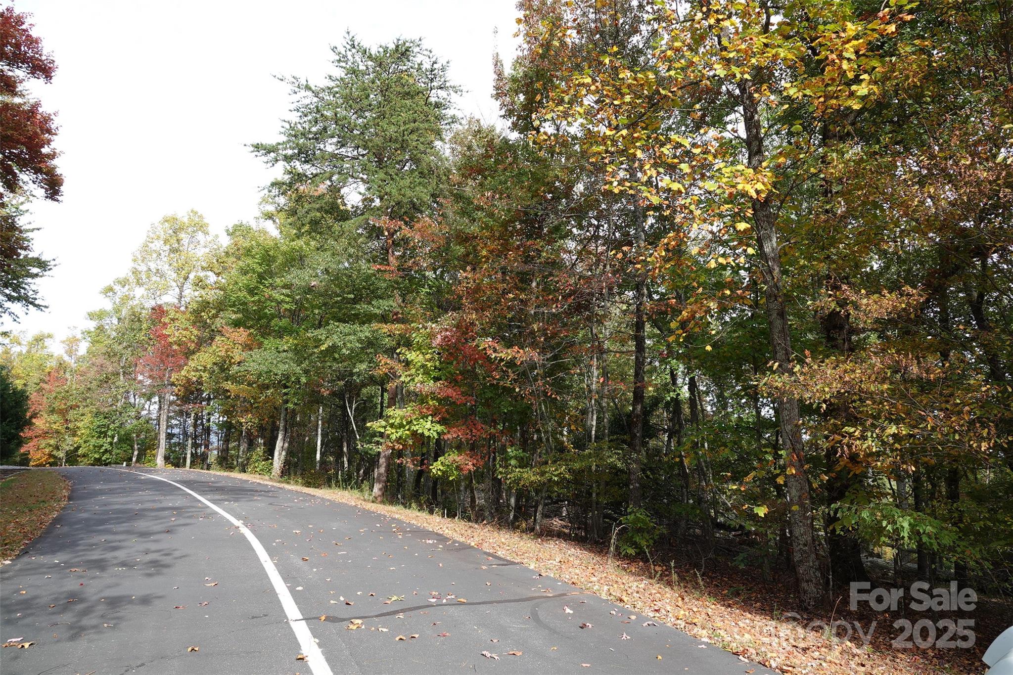 Lot at 69 Adirondack Lane, Bostic, photo 4 of 16