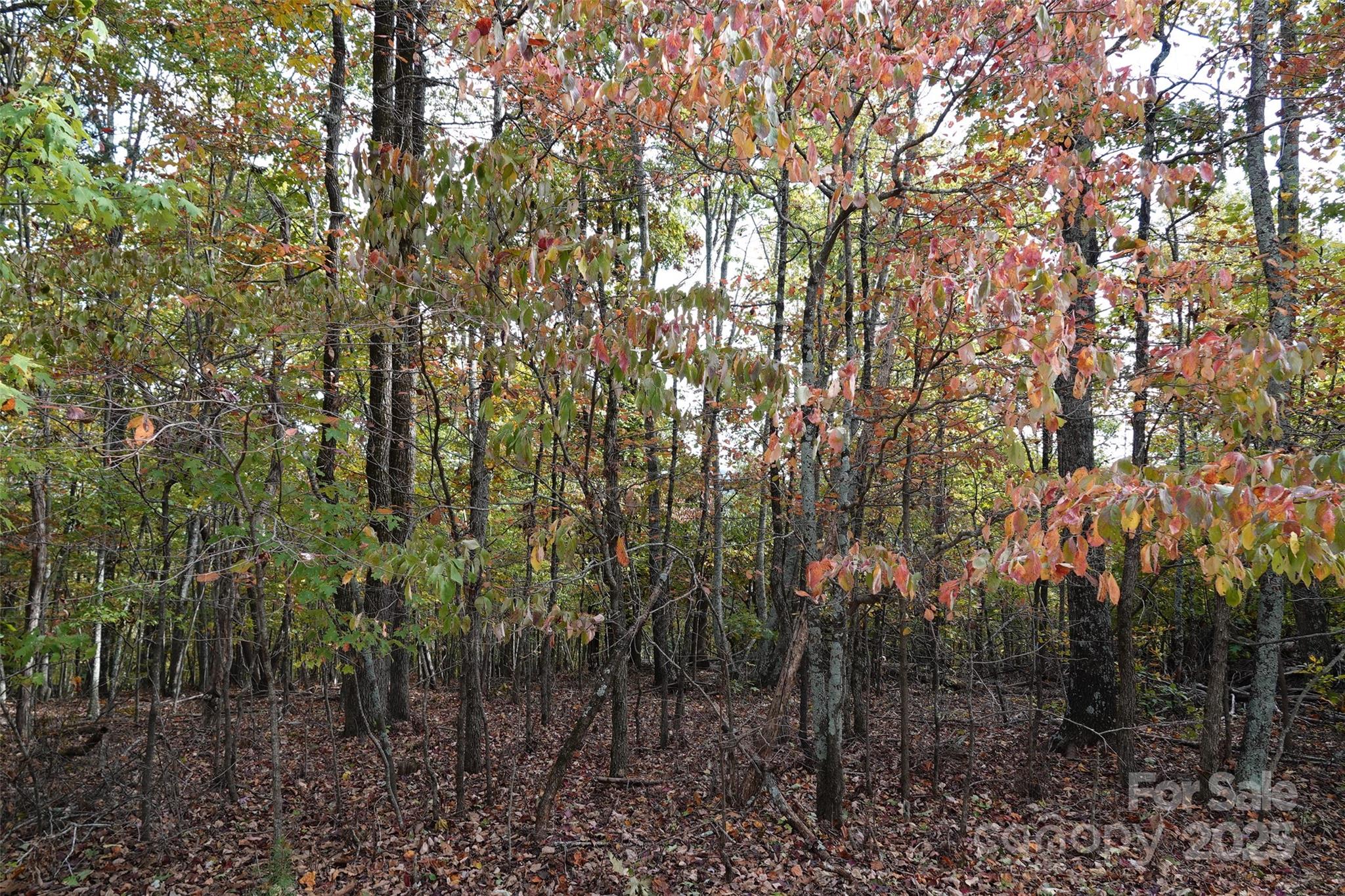 Lot at 69 Adirondack Lane, Bostic, photo 5 of 16