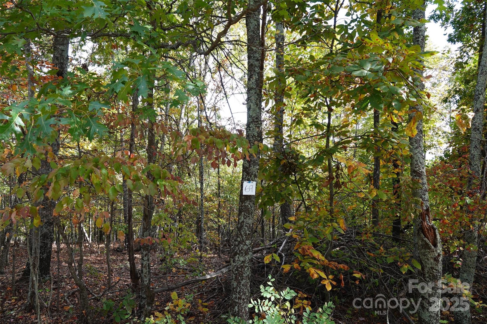 Lot at 69 Adirondack Lane, Bostic, photo 9 of 16