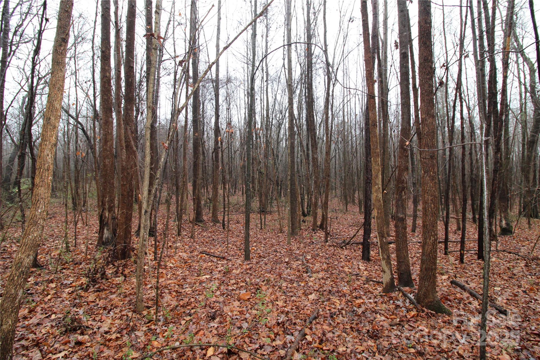 Lot at 14.41+/-AC Eaker Road, Bessemer City, photo 2 of 4