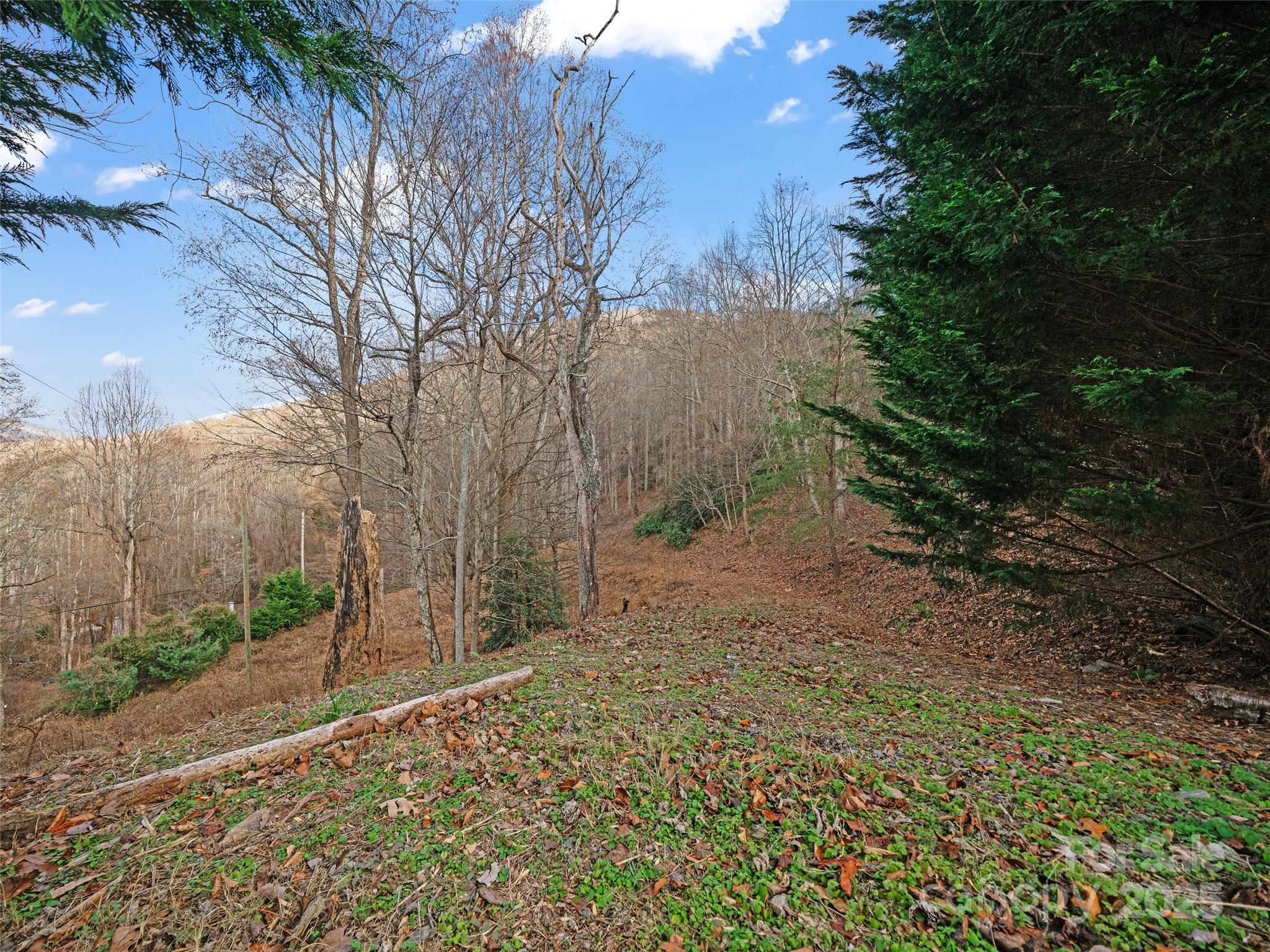Acreage at 99999 Flora Rose Trail, Asheville