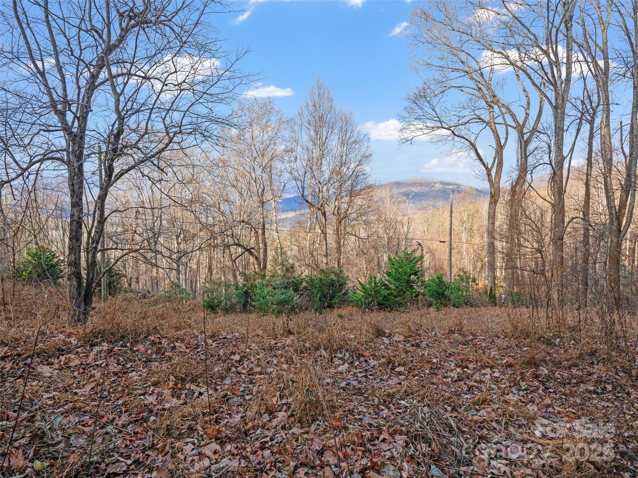 Acreage at 99999 Flora Rose Trail, Asheville, photo 2 of 34
