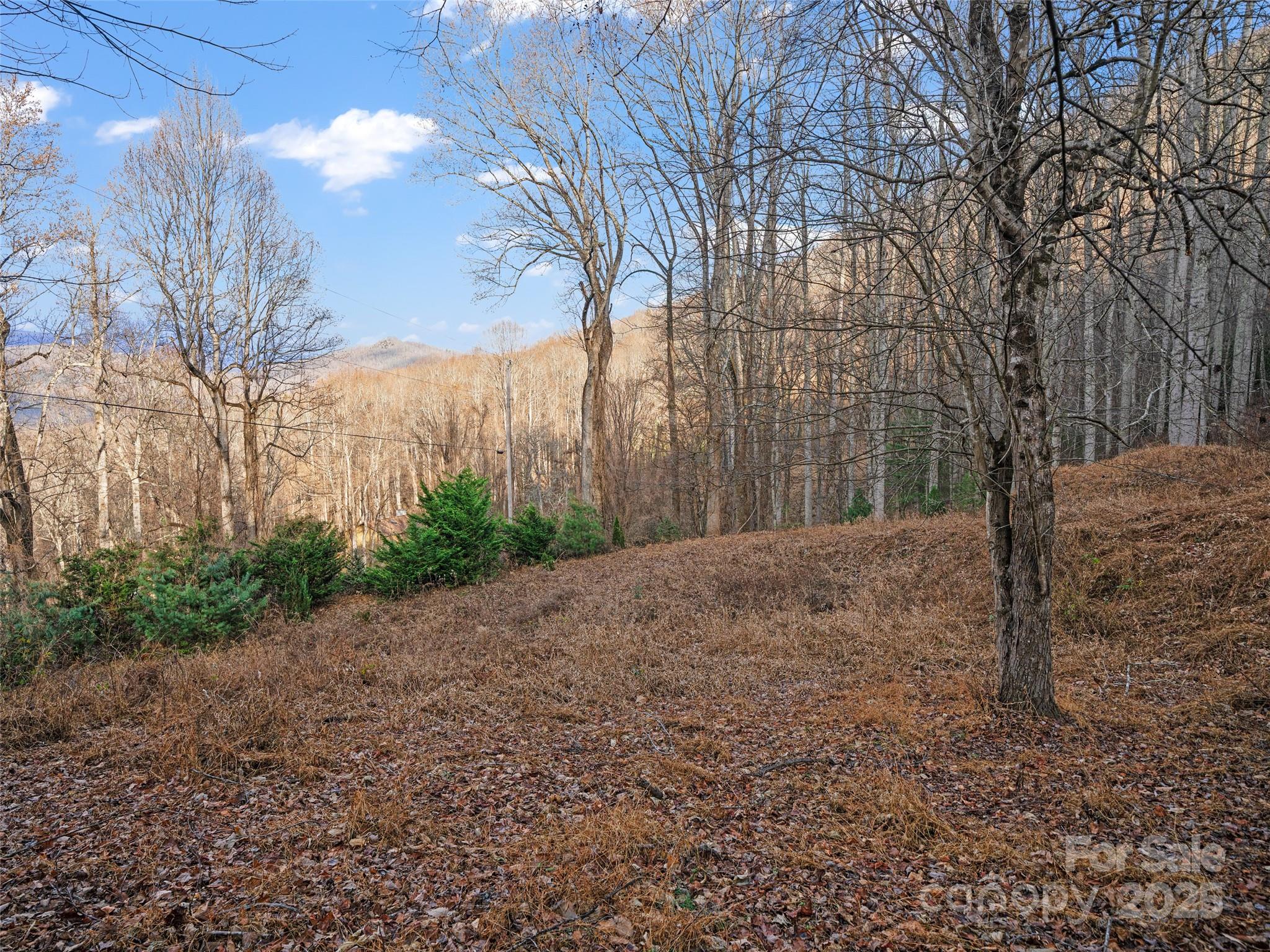 Acreage at 99999 Flora Rose Trail, Asheville, photo 3 of 34