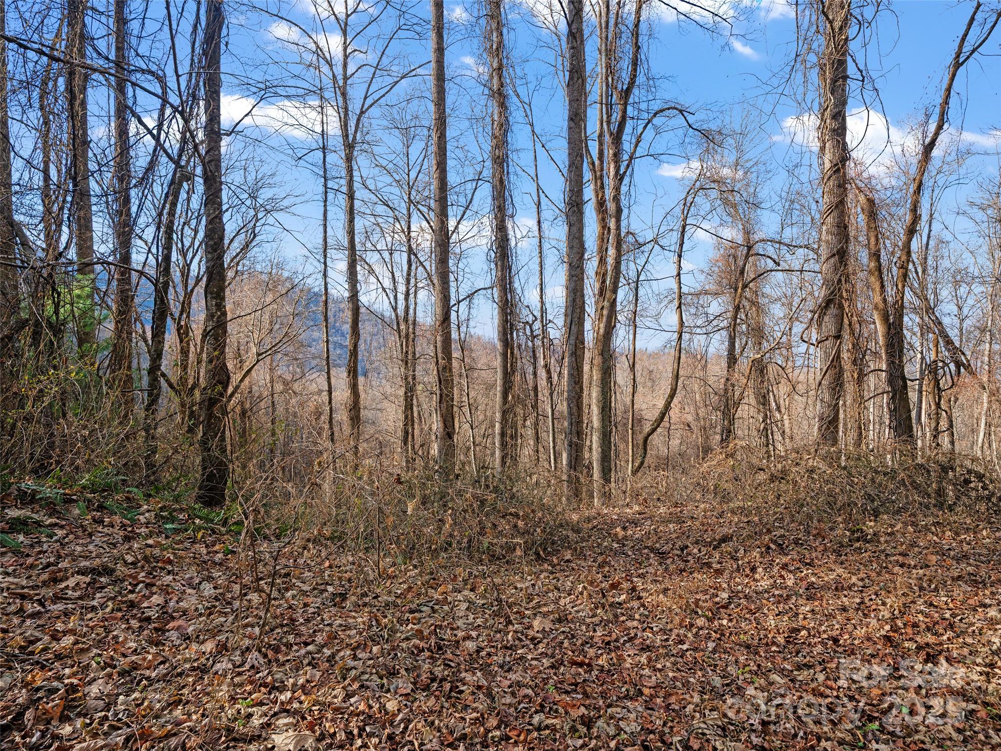 Acreage at 99999 Flora Rose Trail, Asheville, photo 4 of 34