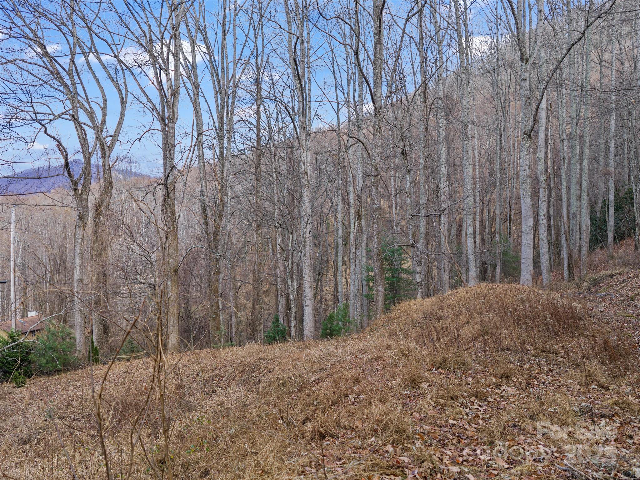 Acreage at 99999 Flora Rose Trail, Asheville, photo 5 of 34