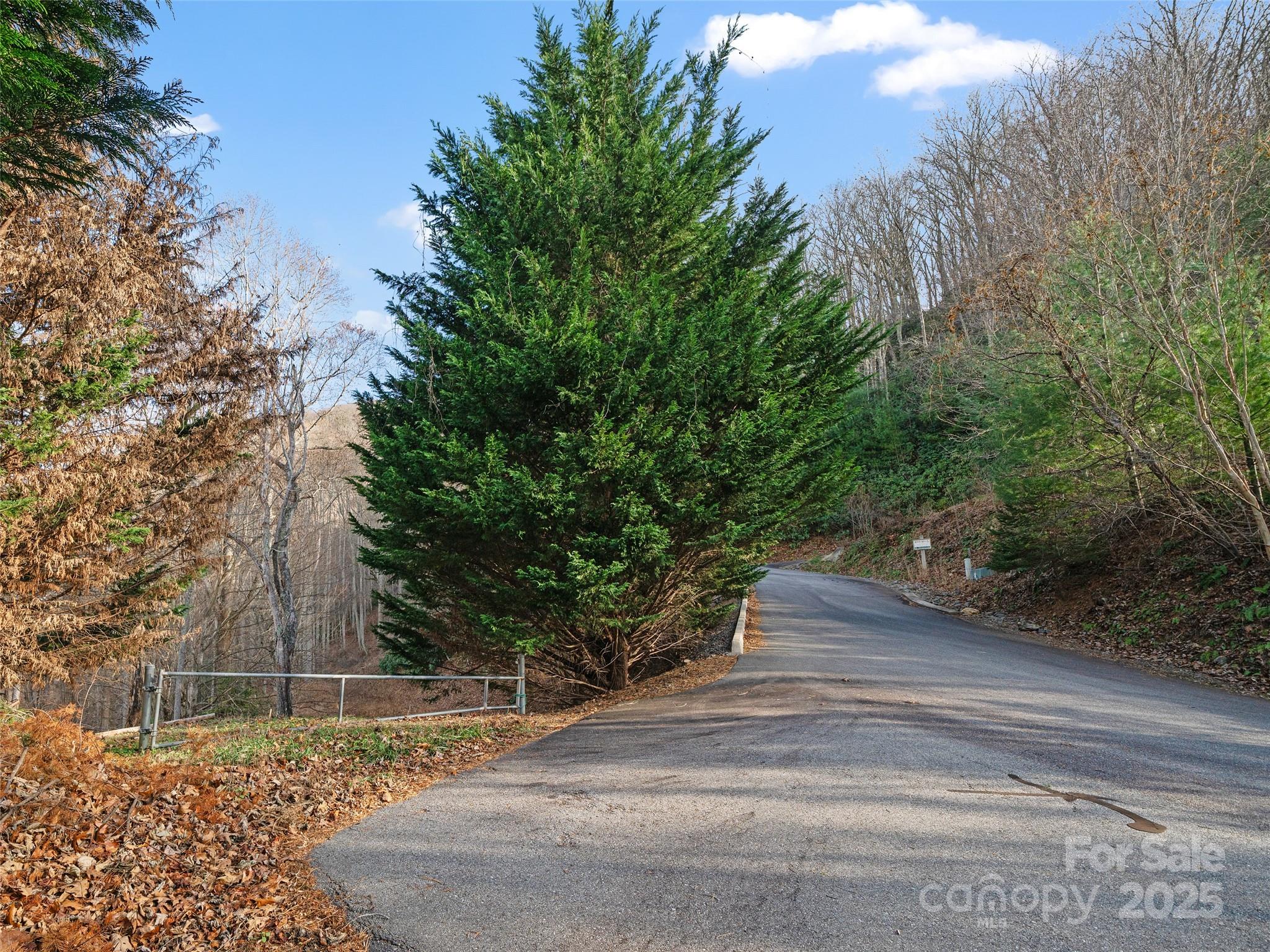 Acreage at 99999 Flora Rose Trail, Asheville, photo 6 of 34