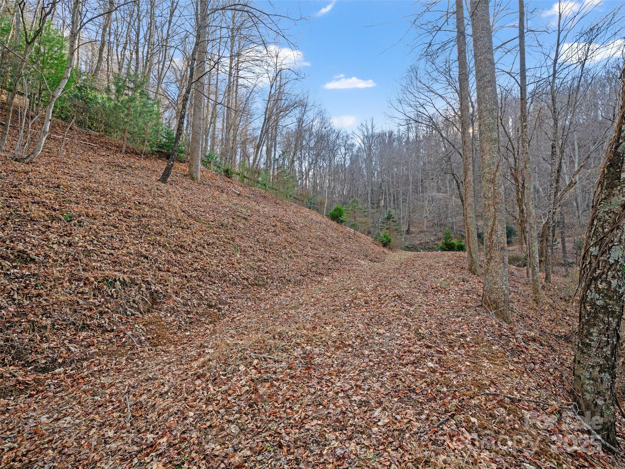 Acreage at 99999 Flora Rose Trail, Asheville, photo 7 of 34