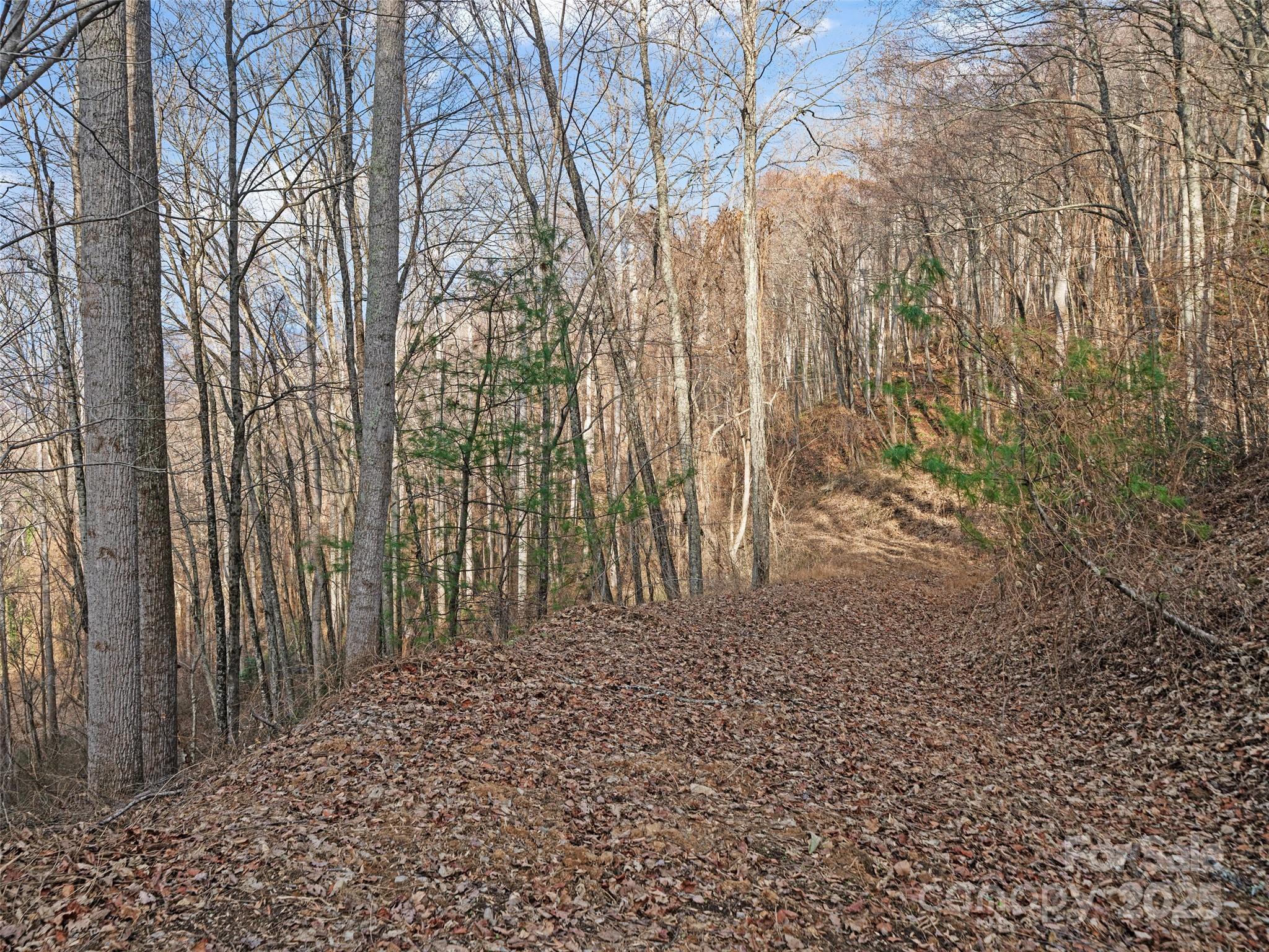 Acreage at 99999 Flora Rose Trail, Asheville, photo 8 of 34