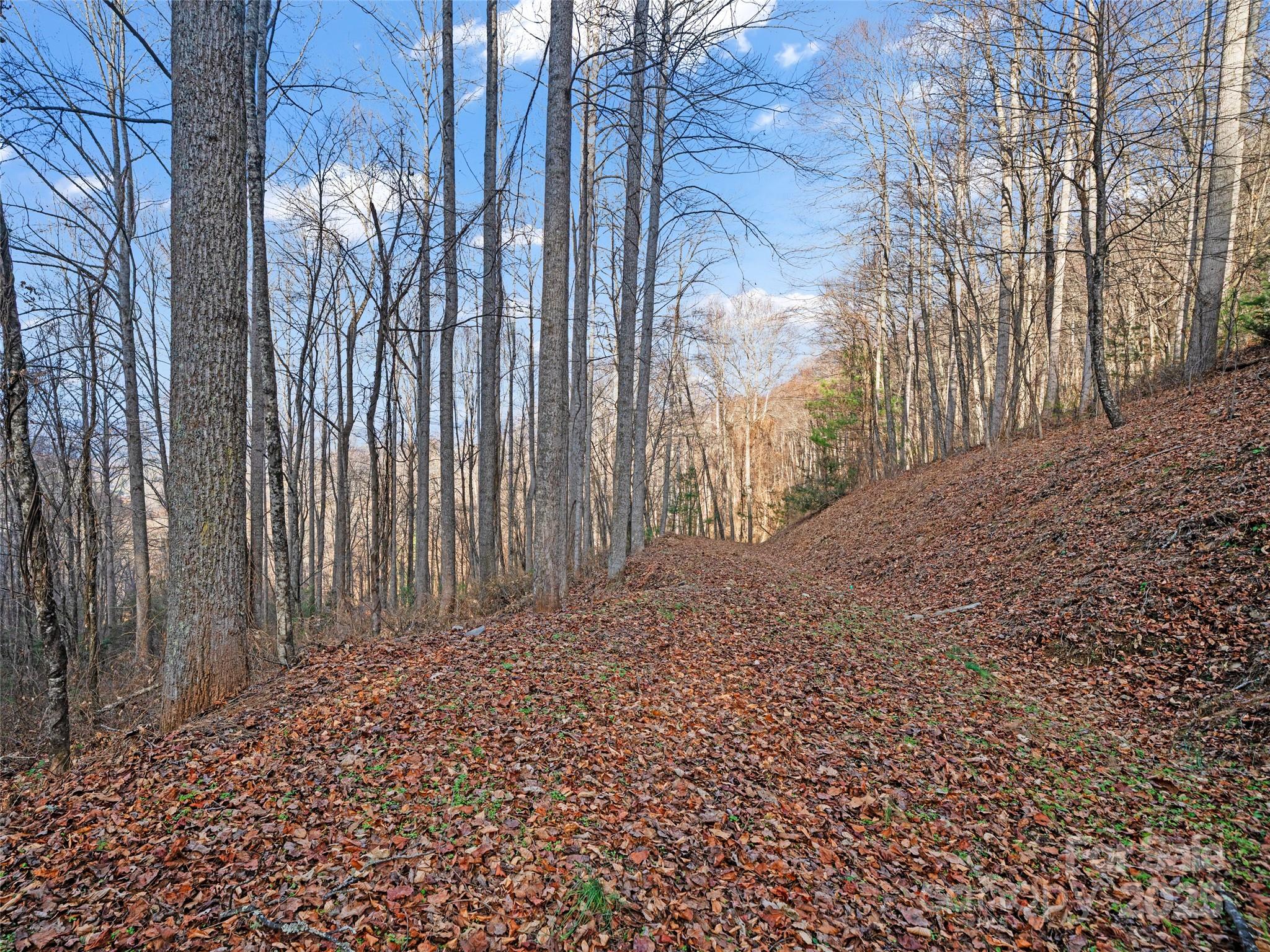 Acreage at 99999 Flora Rose Trail, Asheville, photo 9 of 34