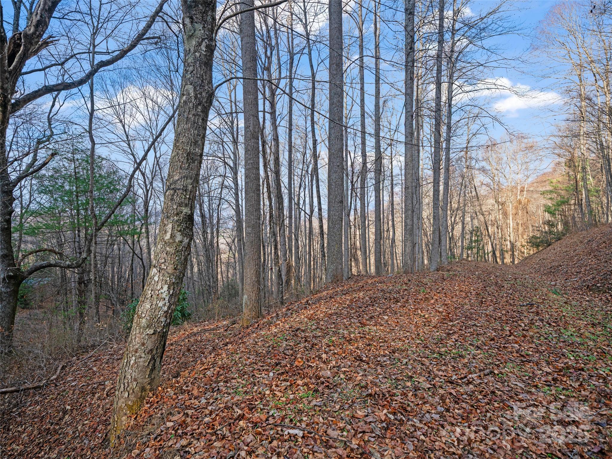 Acreage at 99999 Flora Rose Trail, Asheville, photo 10 of 34
