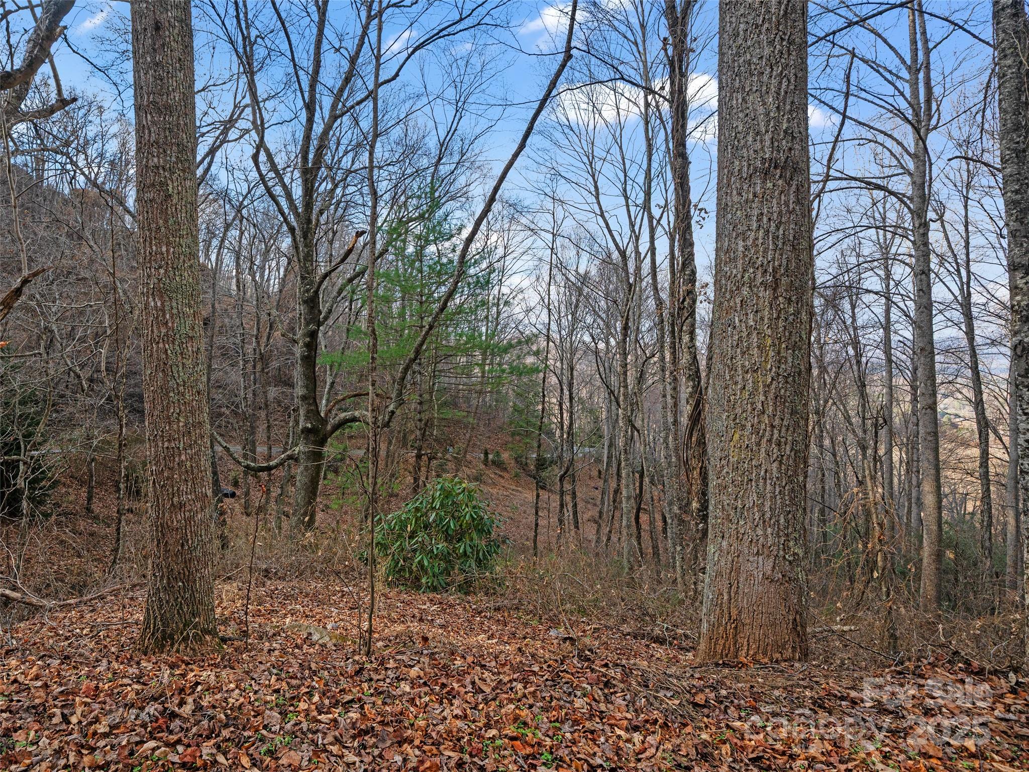 Acreage at 99999 Flora Rose Trail, Asheville, photo 11 of 34