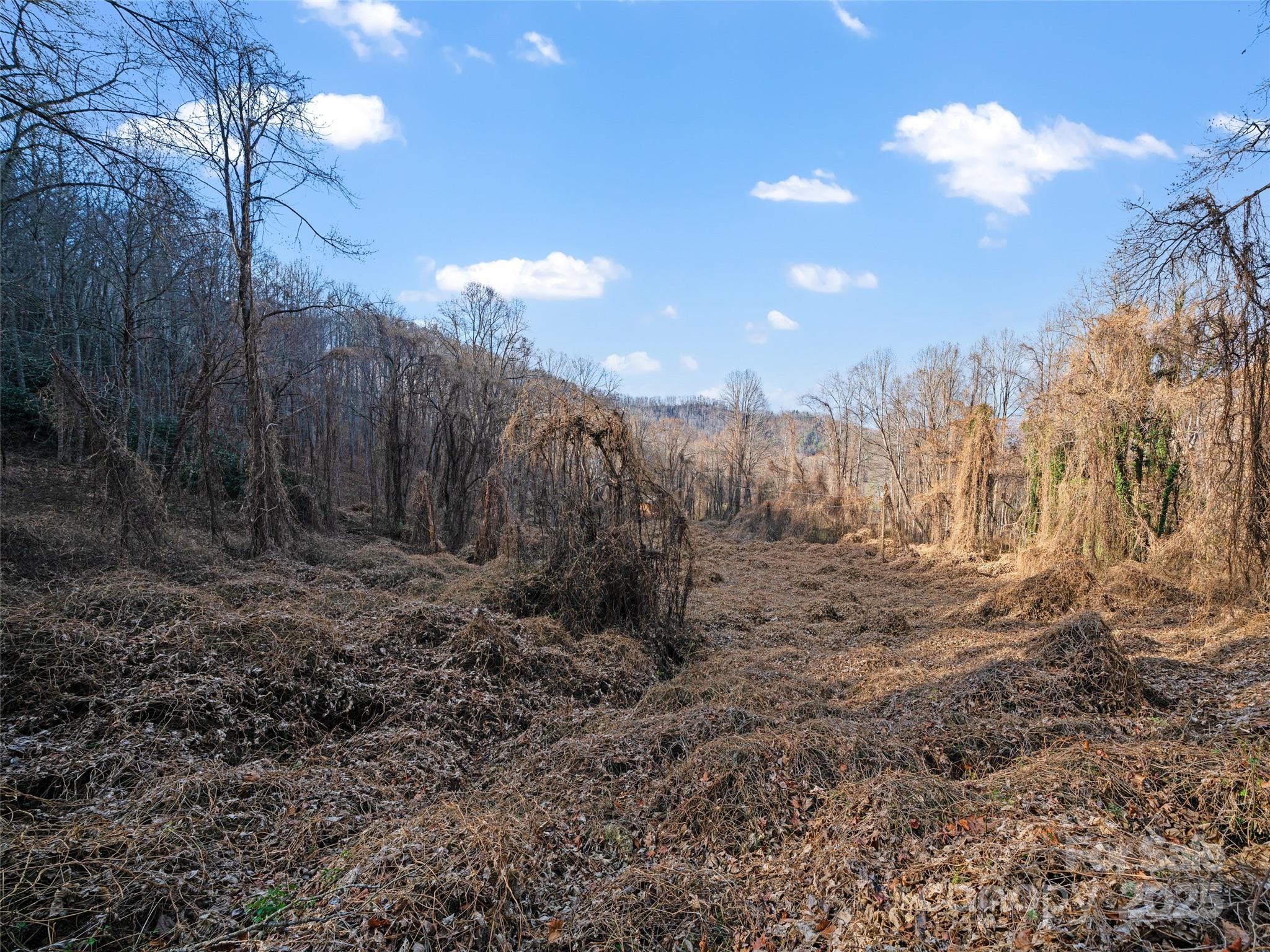 Acreage at 99999 Flora Rose Trail, Asheville, photo 14 of 34