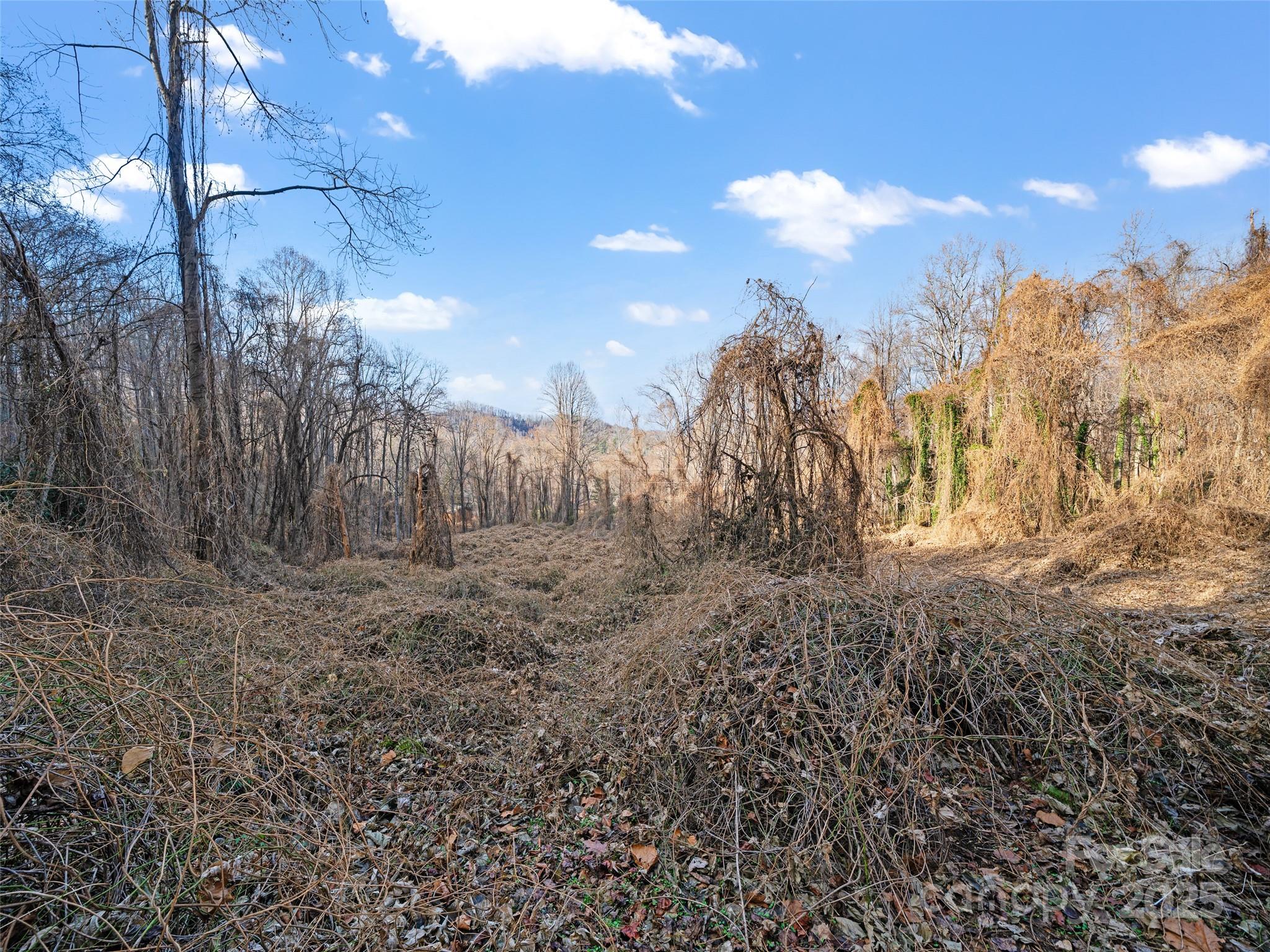 Acreage at 99999 Flora Rose Trail, Asheville, photo 15 of 34
