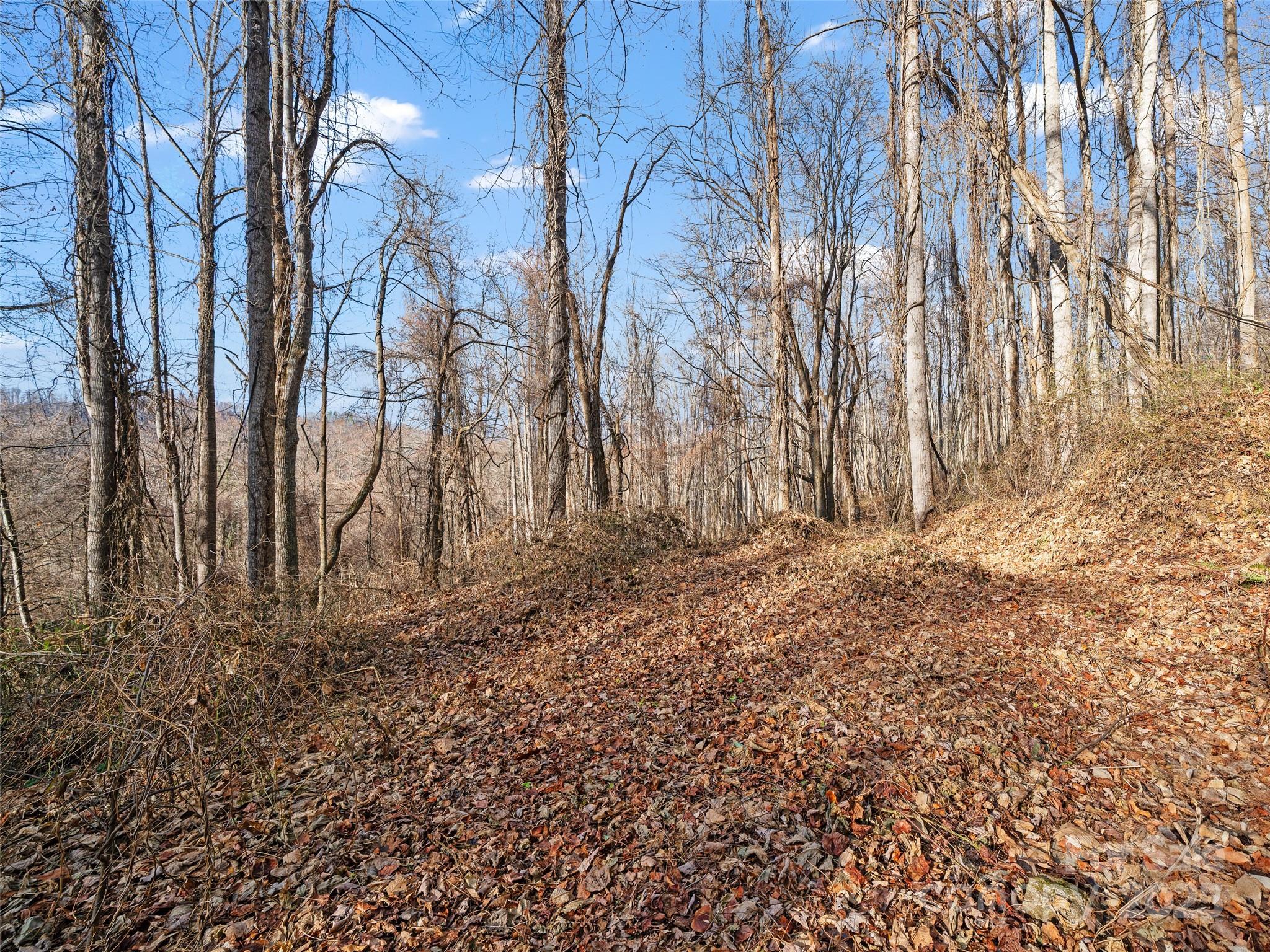 Acreage at 99999 Flora Rose Trail, Asheville, photo 16 of 34