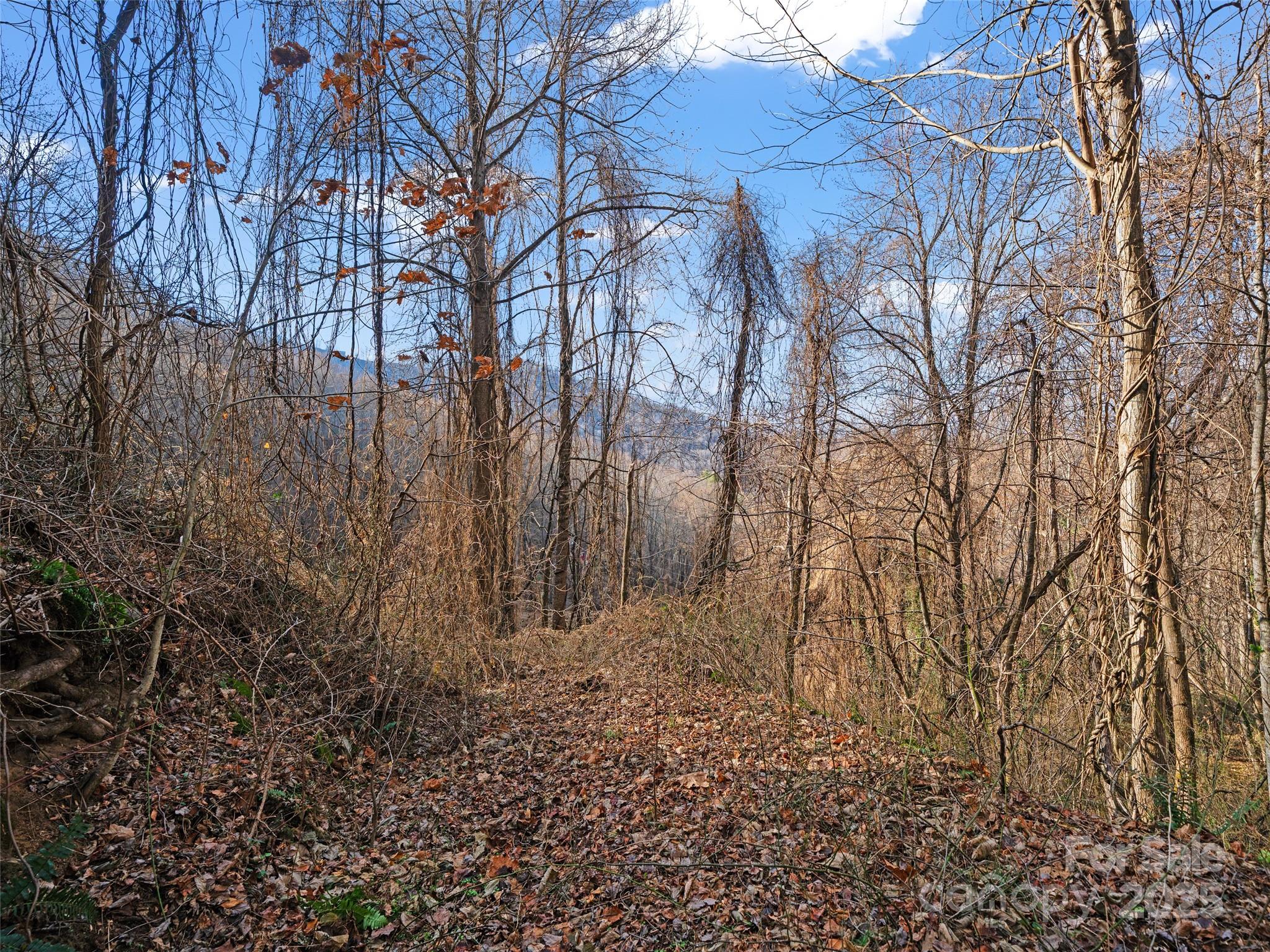 Acreage at 99999 Flora Rose Trail, Asheville, photo 17 of 34