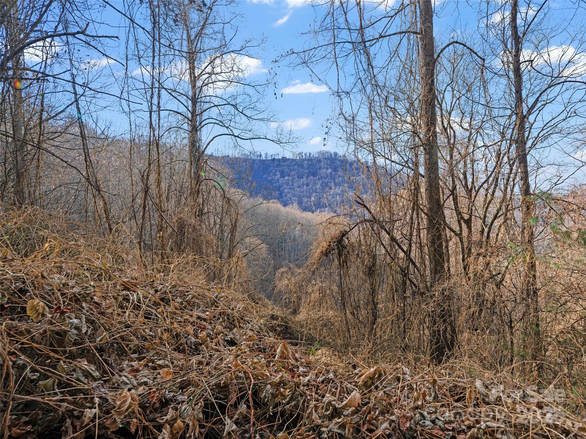 Acreage at 99999 Flora Rose Trail, Asheville, photo 18 of 34