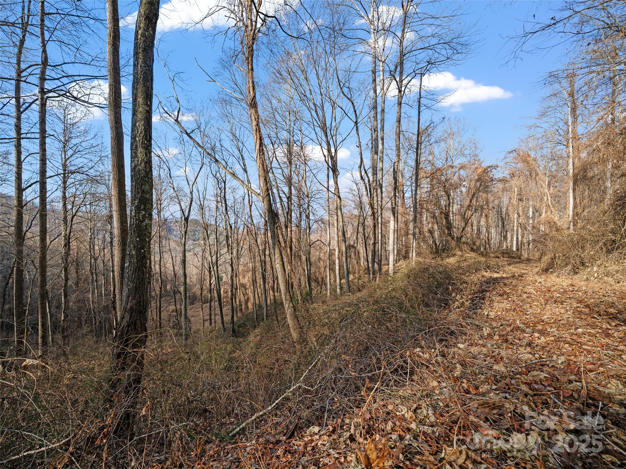 Acreage at 99999 Flora Rose Trail, Asheville, photo 19 of 34