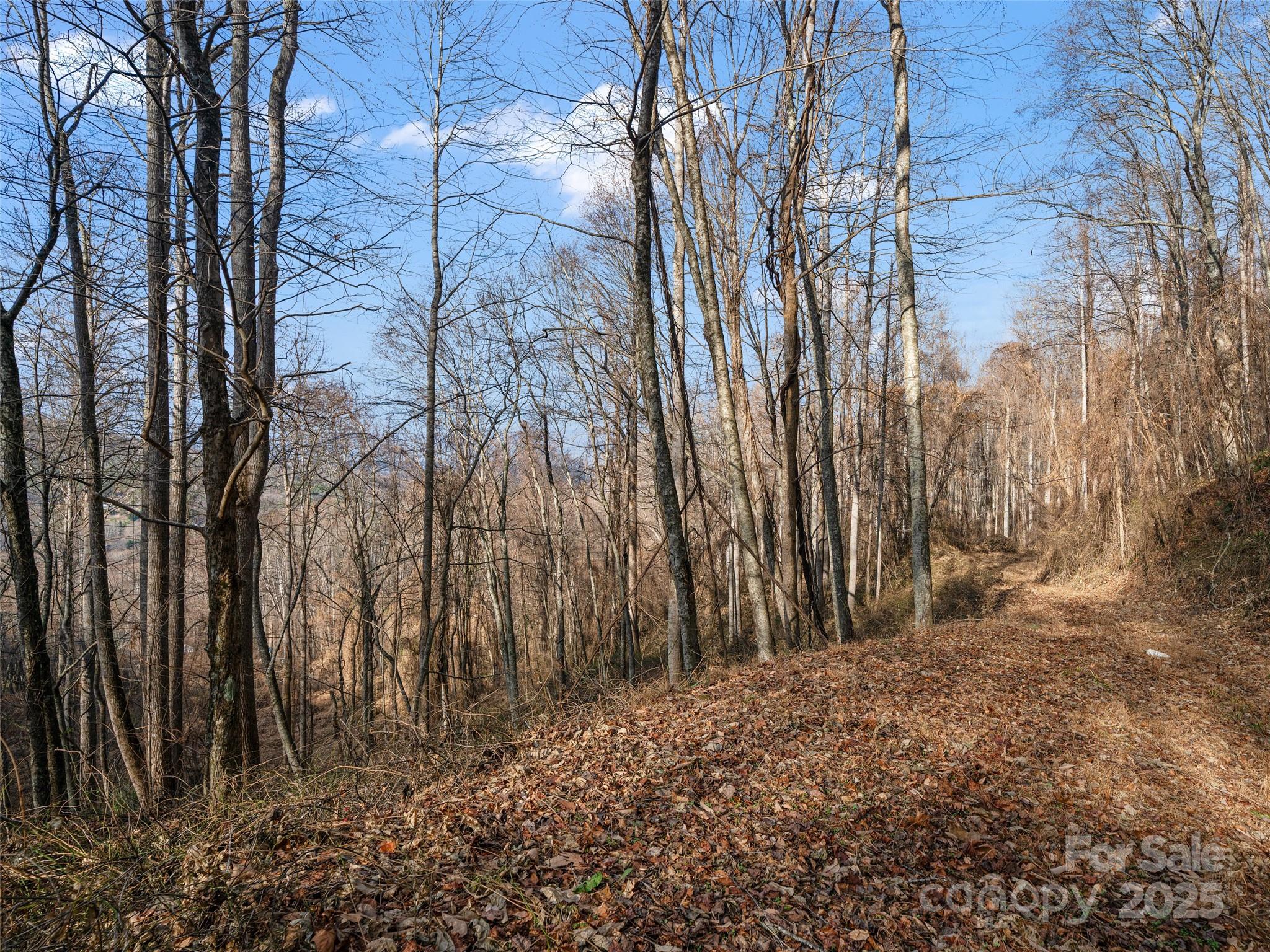 Acreage at 99999 Flora Rose Trail, Asheville, photo 20 of 34