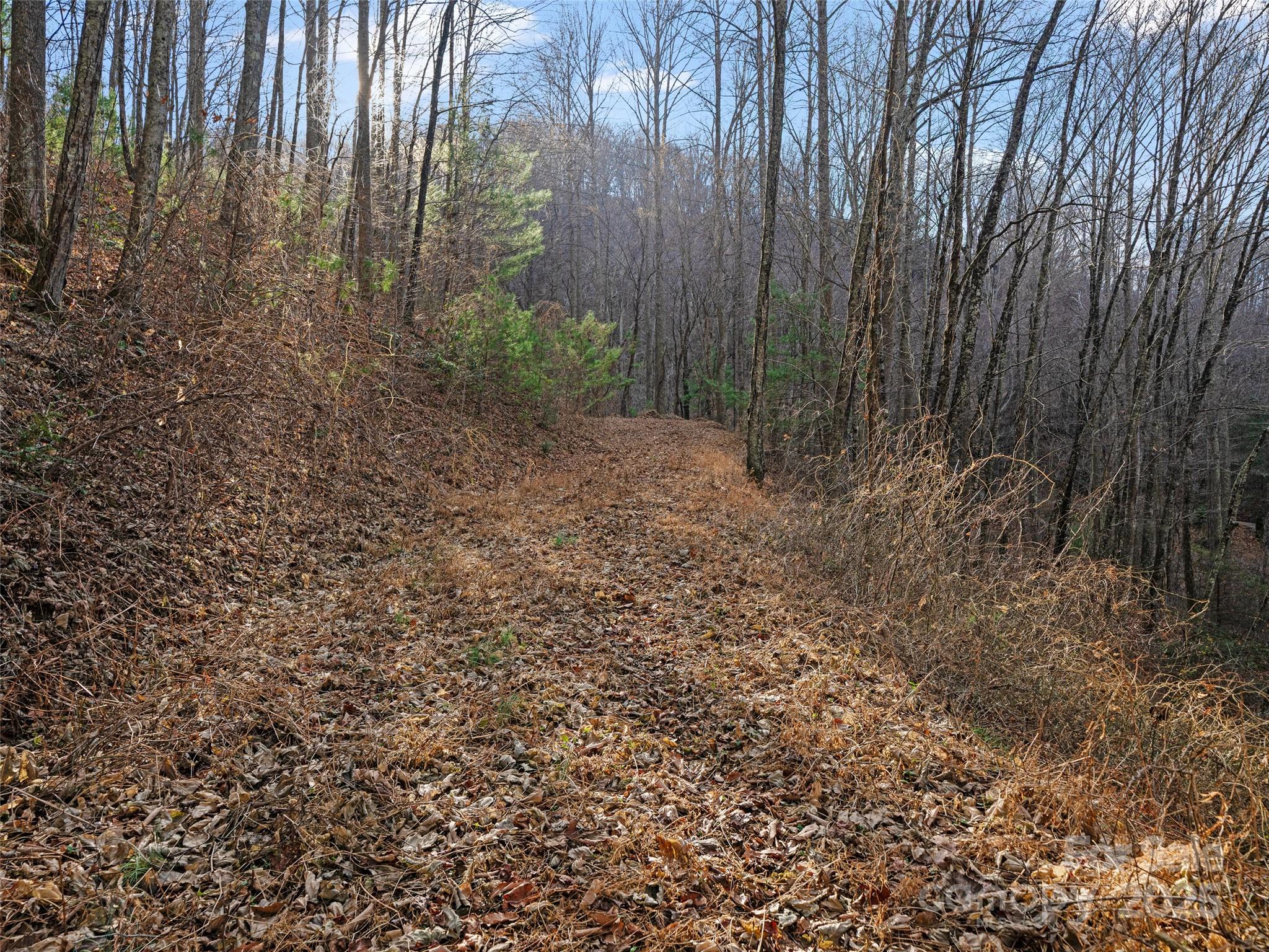 Acreage at 99999 Flora Rose Trail, Asheville, photo 21 of 34