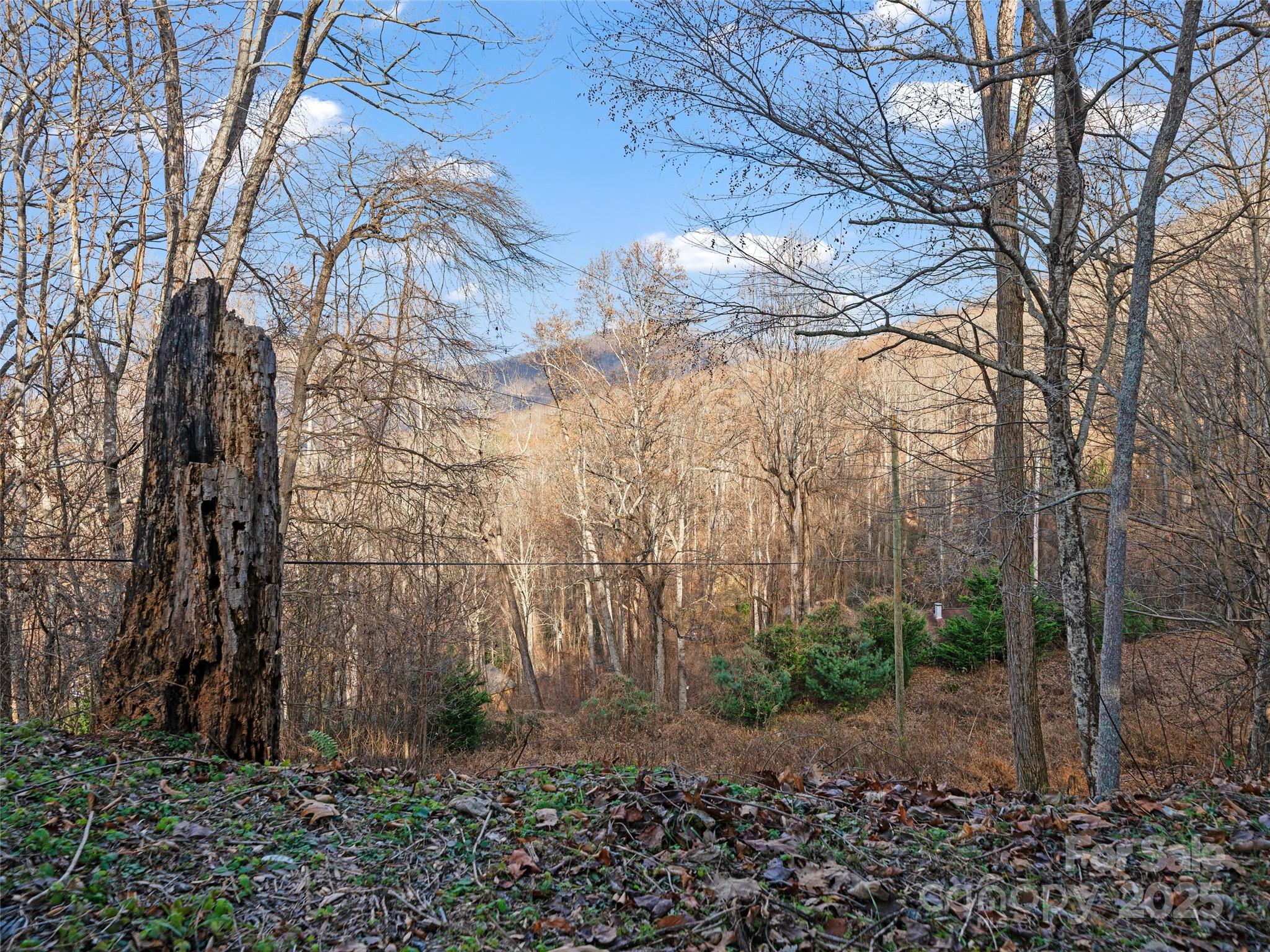 Acreage at 99999 Flora Rose Trail, Asheville, photo 22 of 34