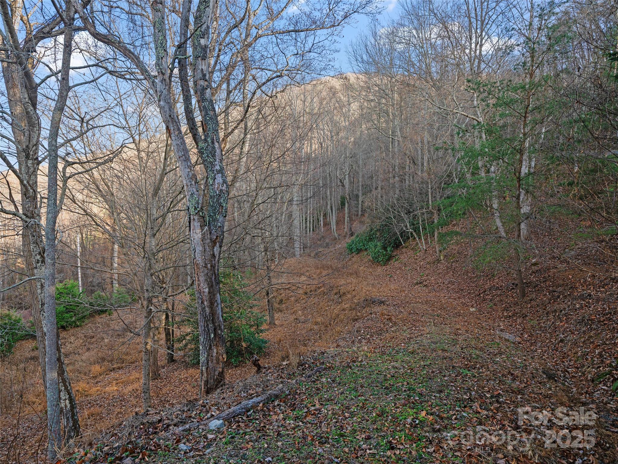 Acreage at 99999 Flora Rose Trail, Asheville, photo 23 of 34