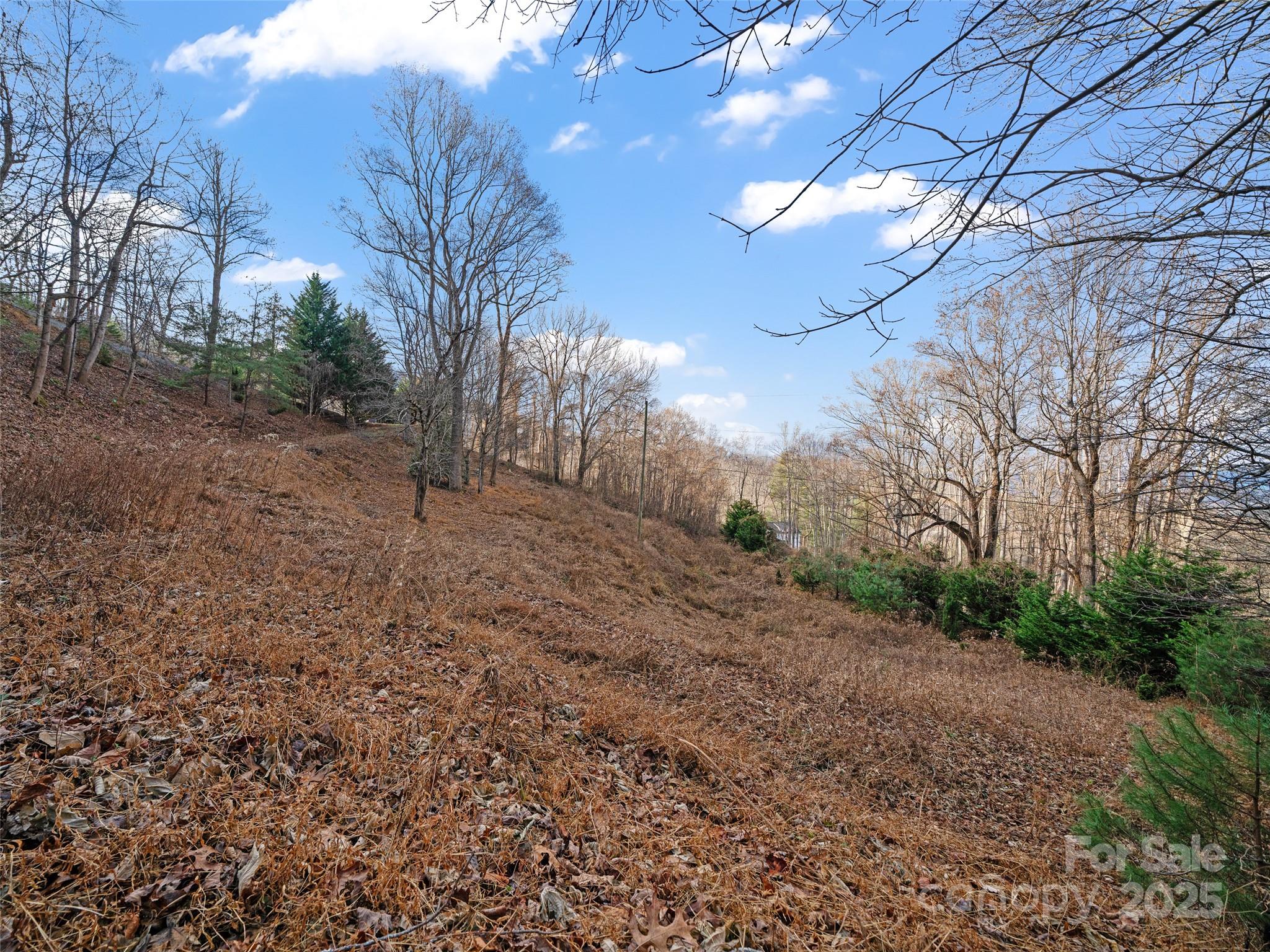 Acreage at 99999 Flora Rose Trail, Asheville, photo 24 of 34