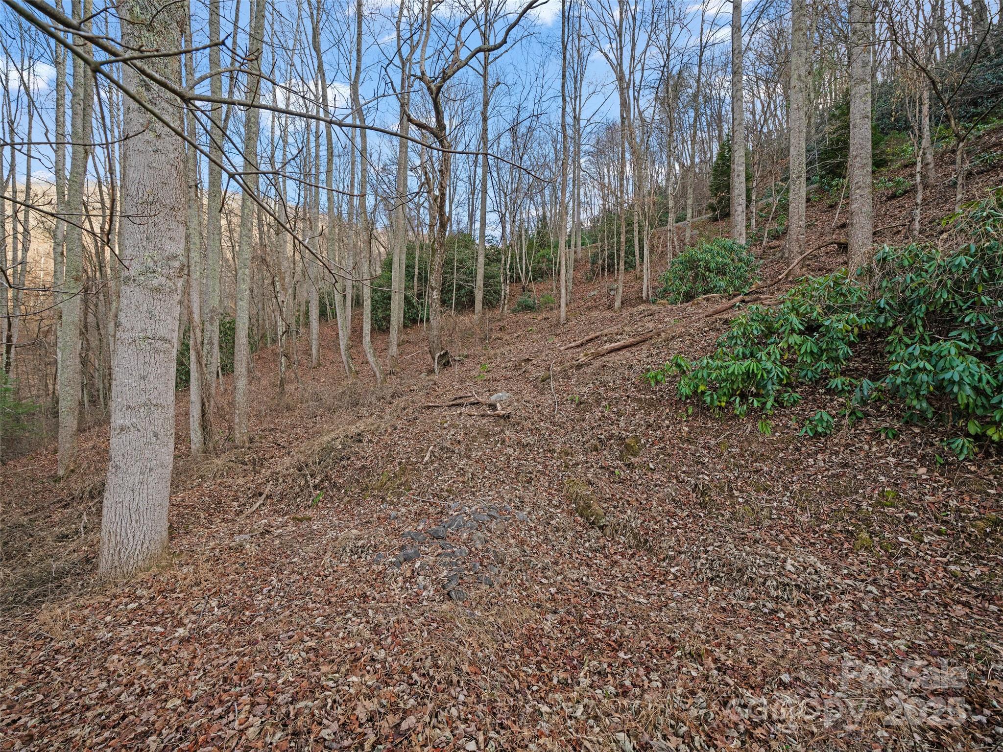 Acreage at 99999 Flora Rose Trail, Asheville, photo 25 of 34